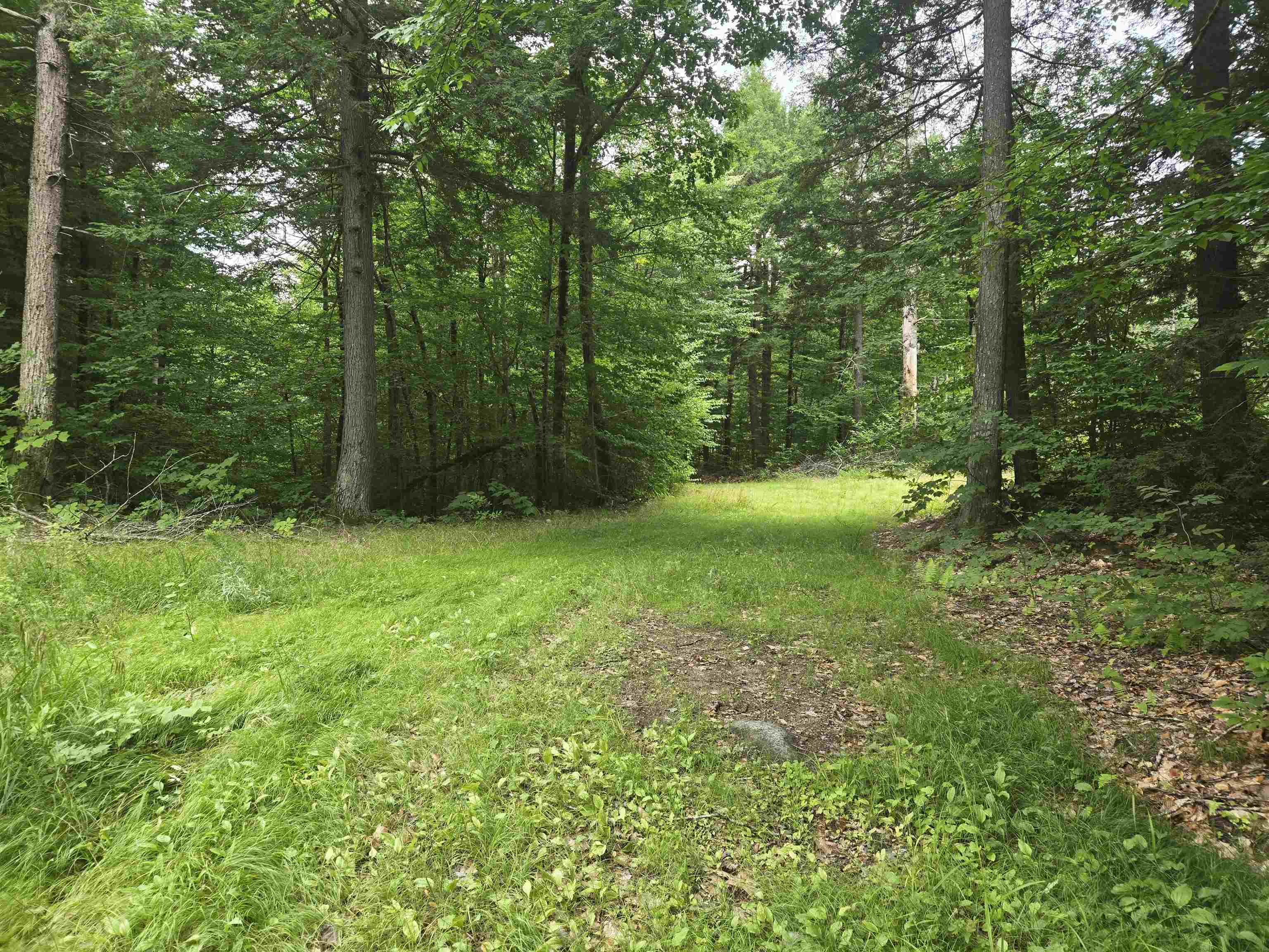 Lot 14 & 14.1 Brownfield Road Property Photo 10