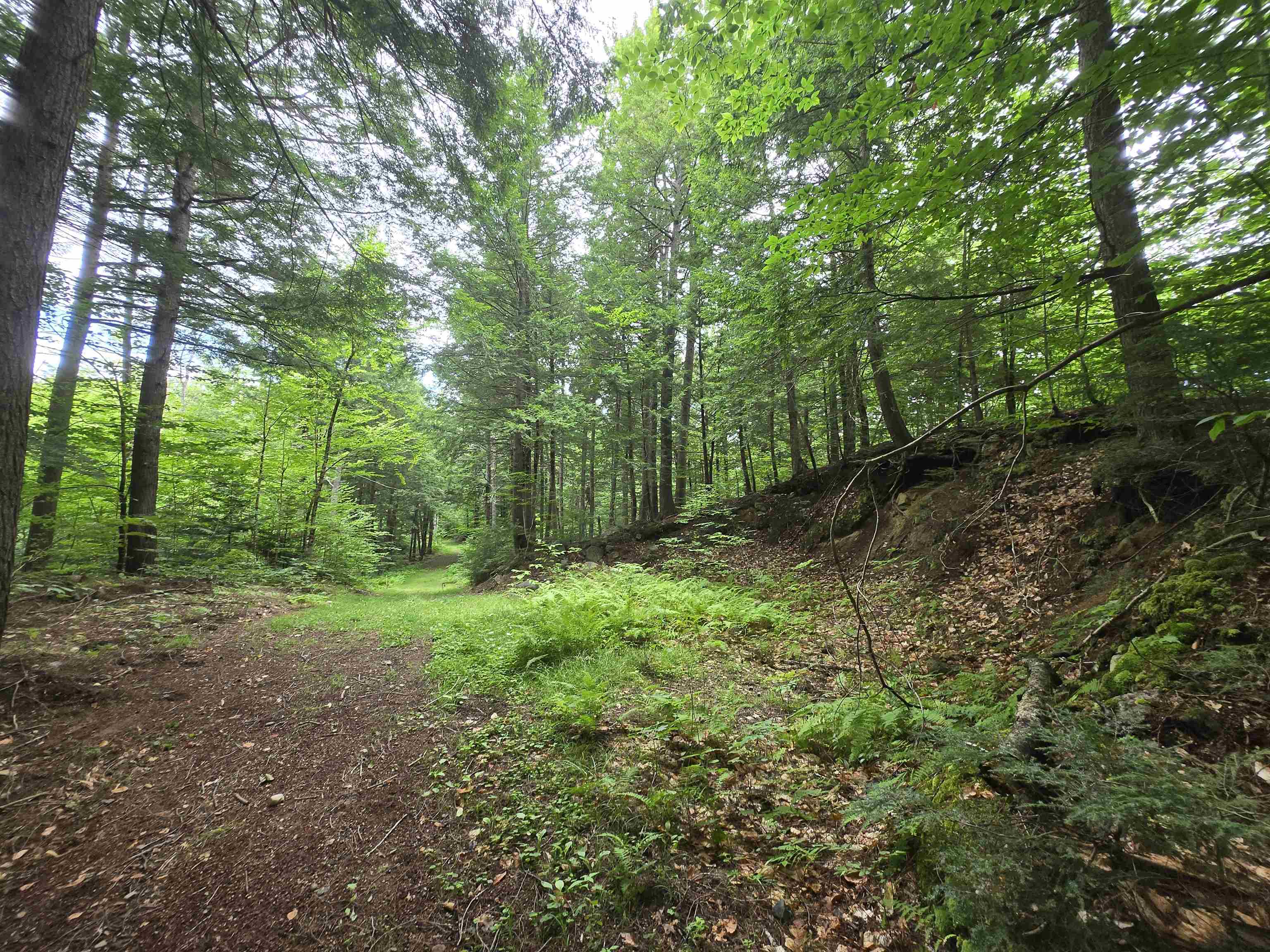 Lot 14 & 14.1 Brownfield Road Property Photo 12