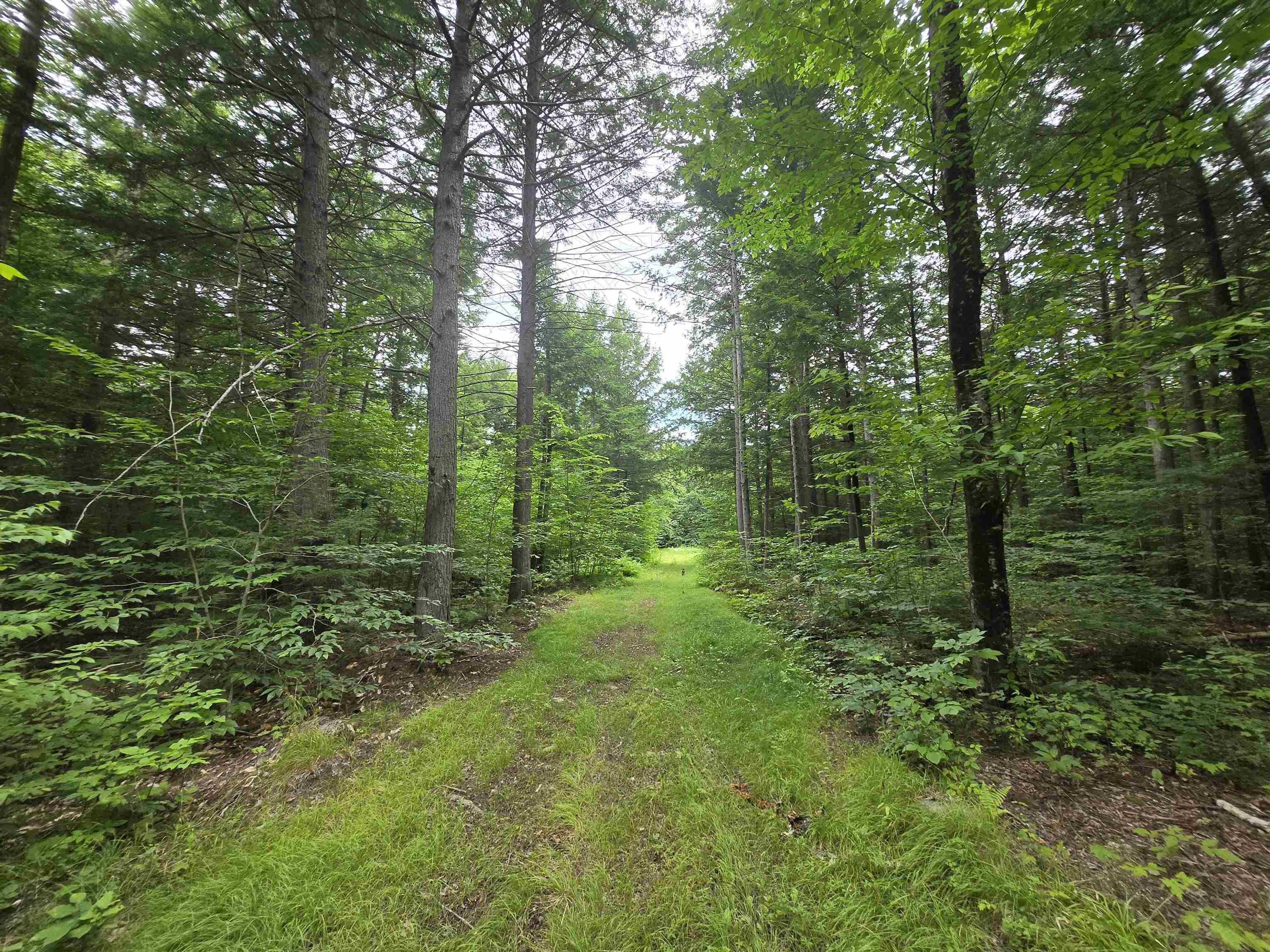 Lot 14 & 14.1 Brownfield Road Property Photo 13