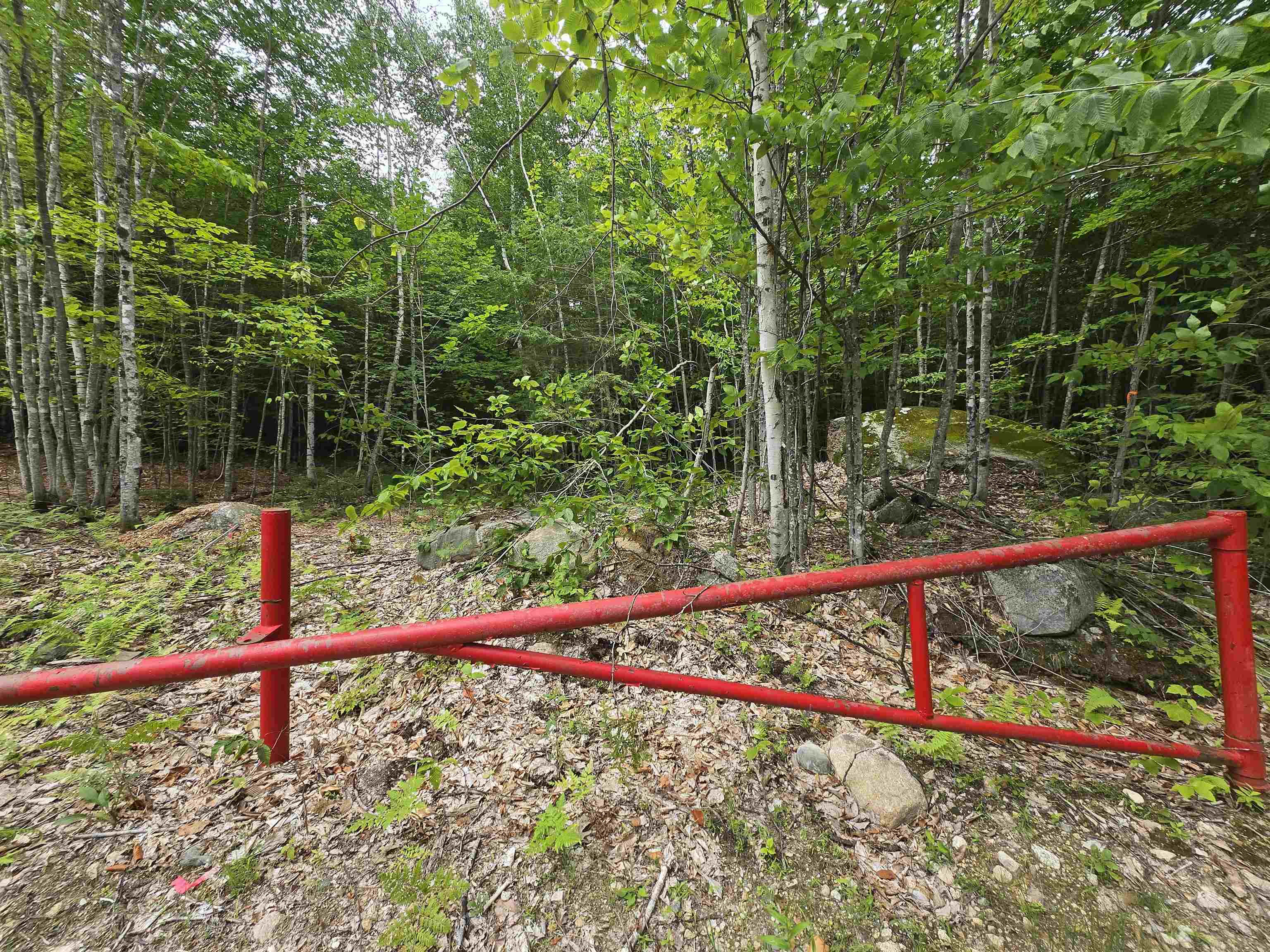 Lot 14 & 14.1 Brownfield Road Property Photo 32