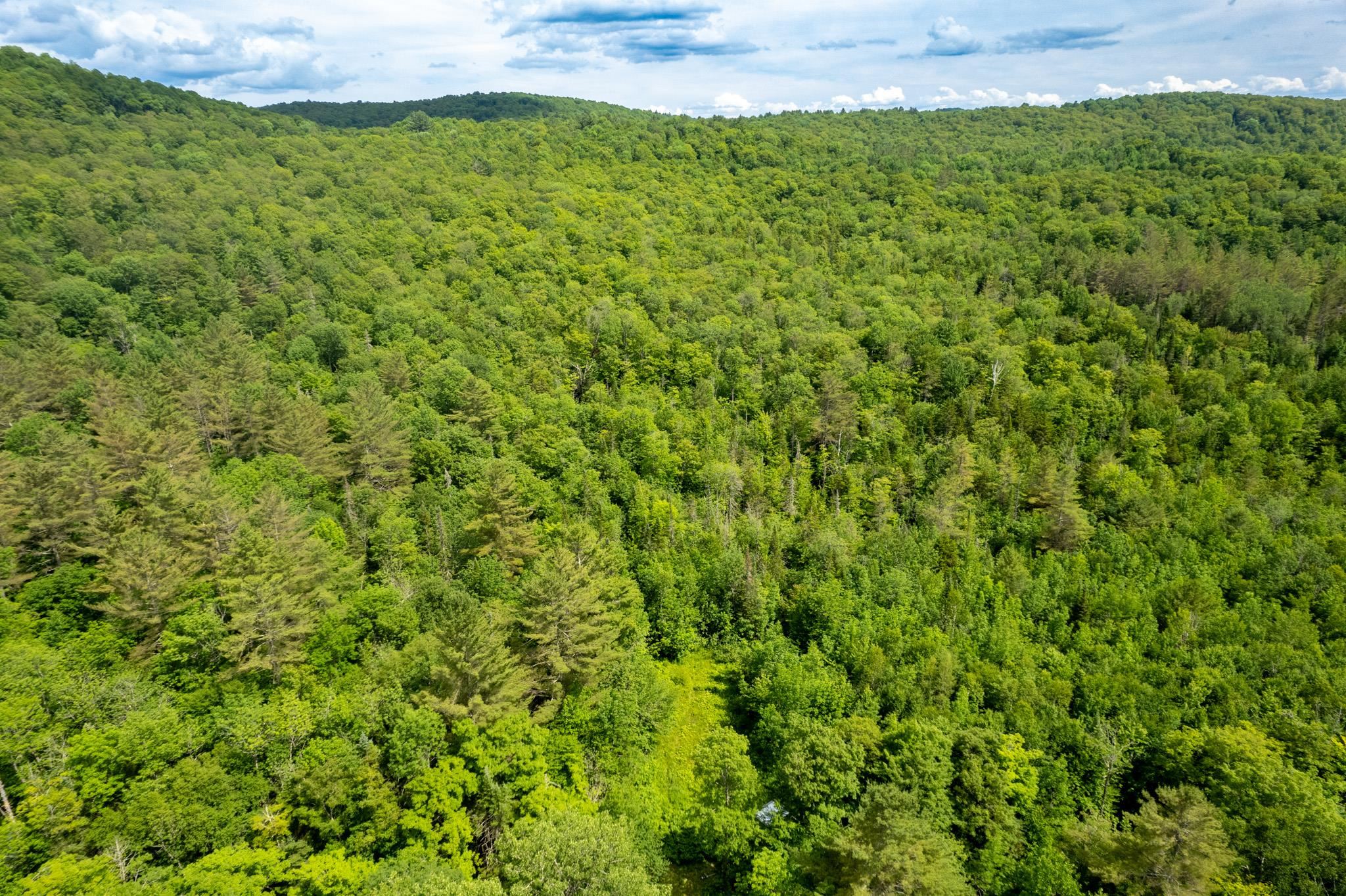 230 Taylor Valley Road Property Photo 4