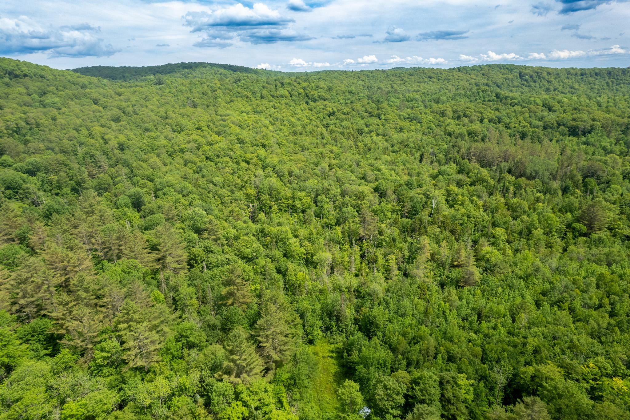 230 Taylor Valley Road Property Photo 5