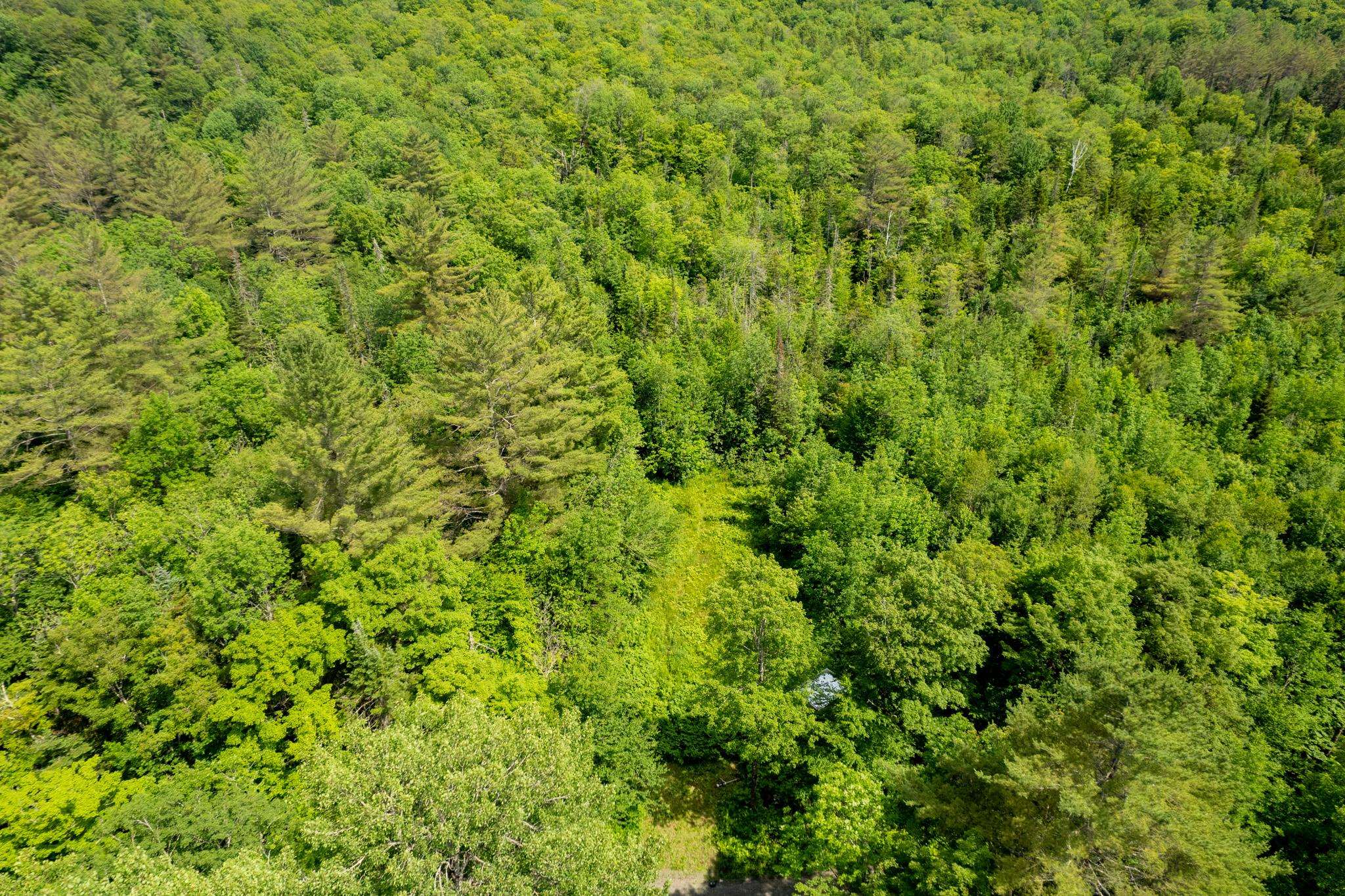 230 Taylor Valley Road Property Photo 7