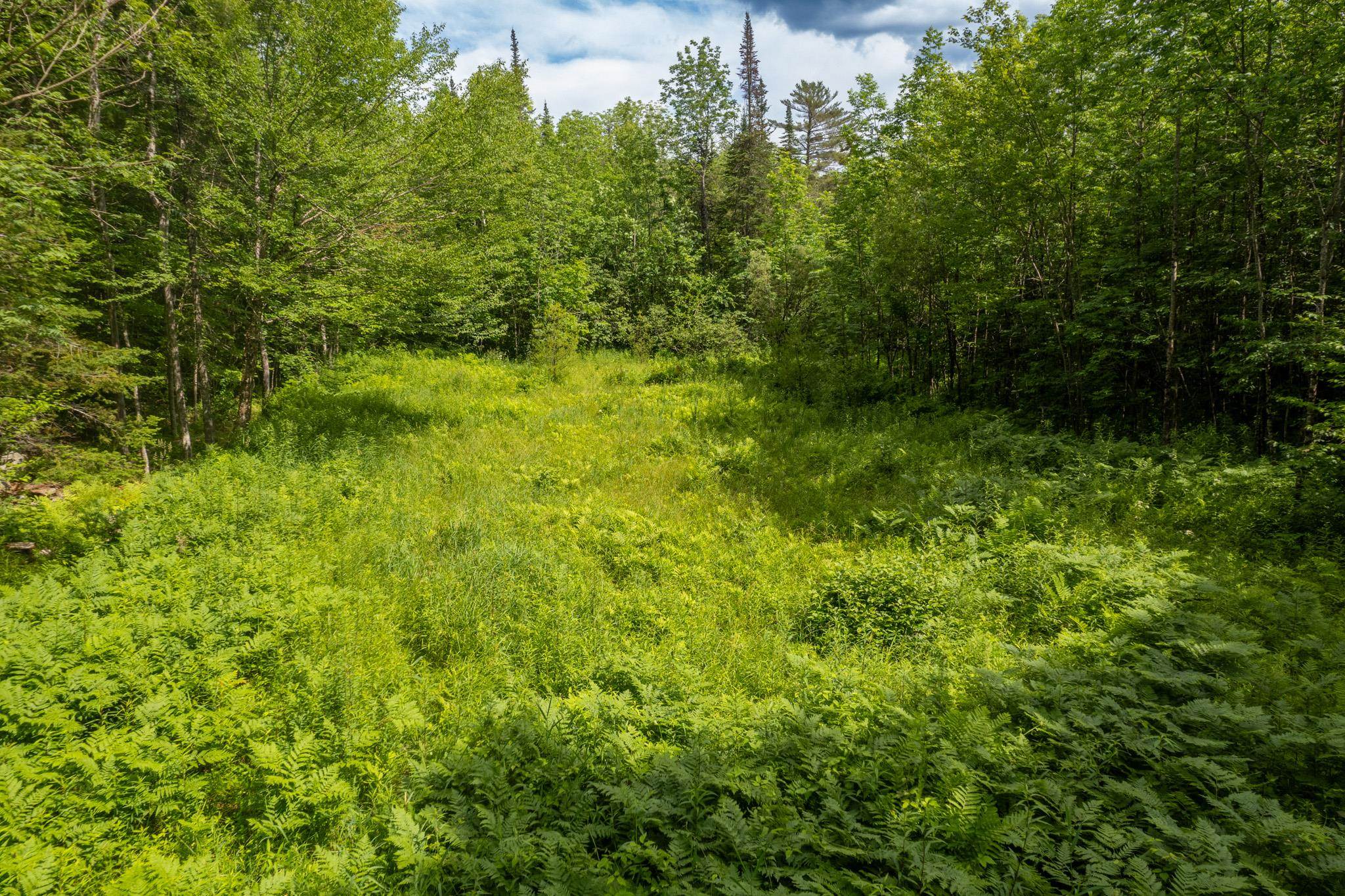230 Taylor Valley Road Property Photo 13