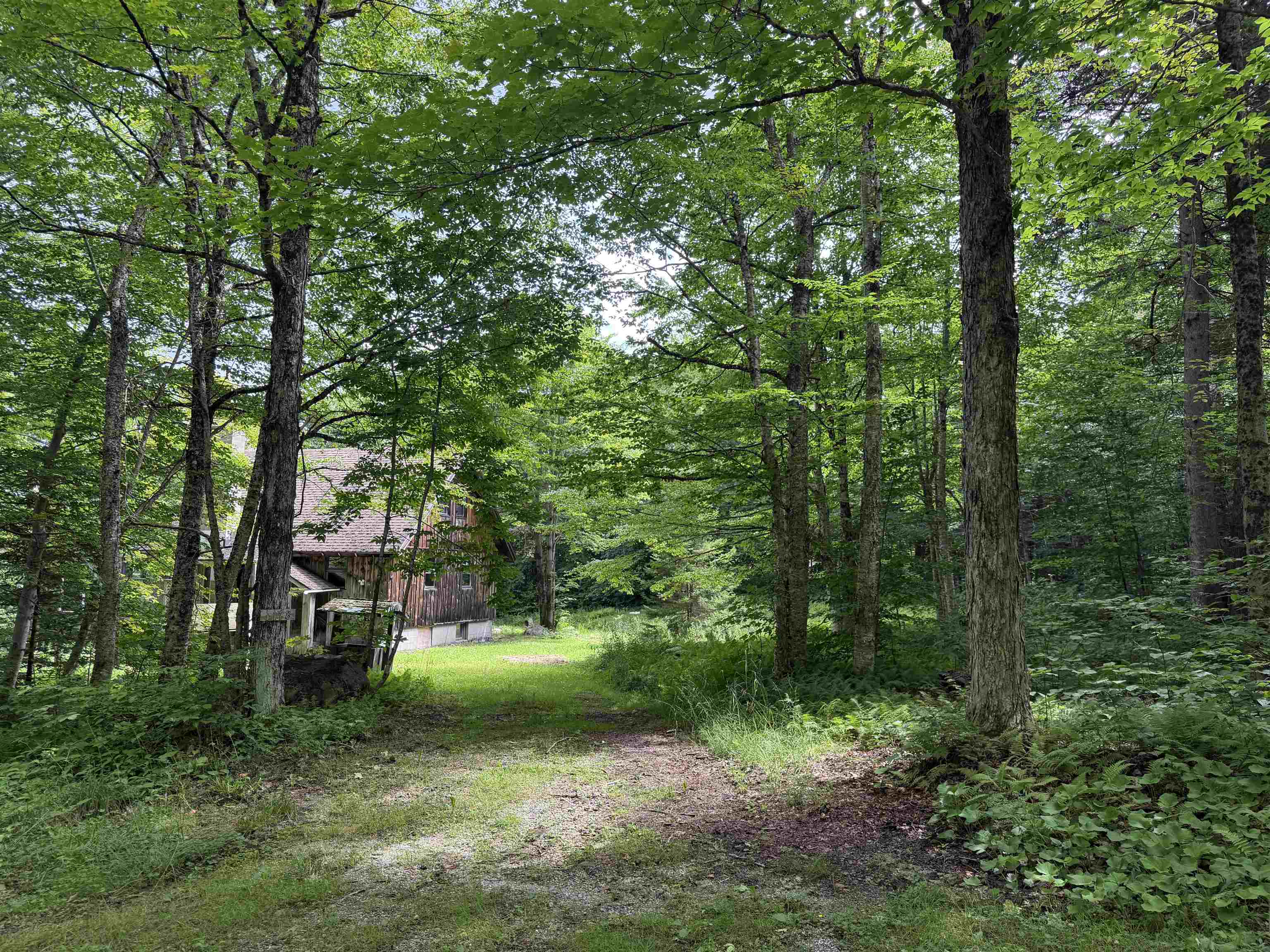 1178 Oberdorf Road Property Photo 10
