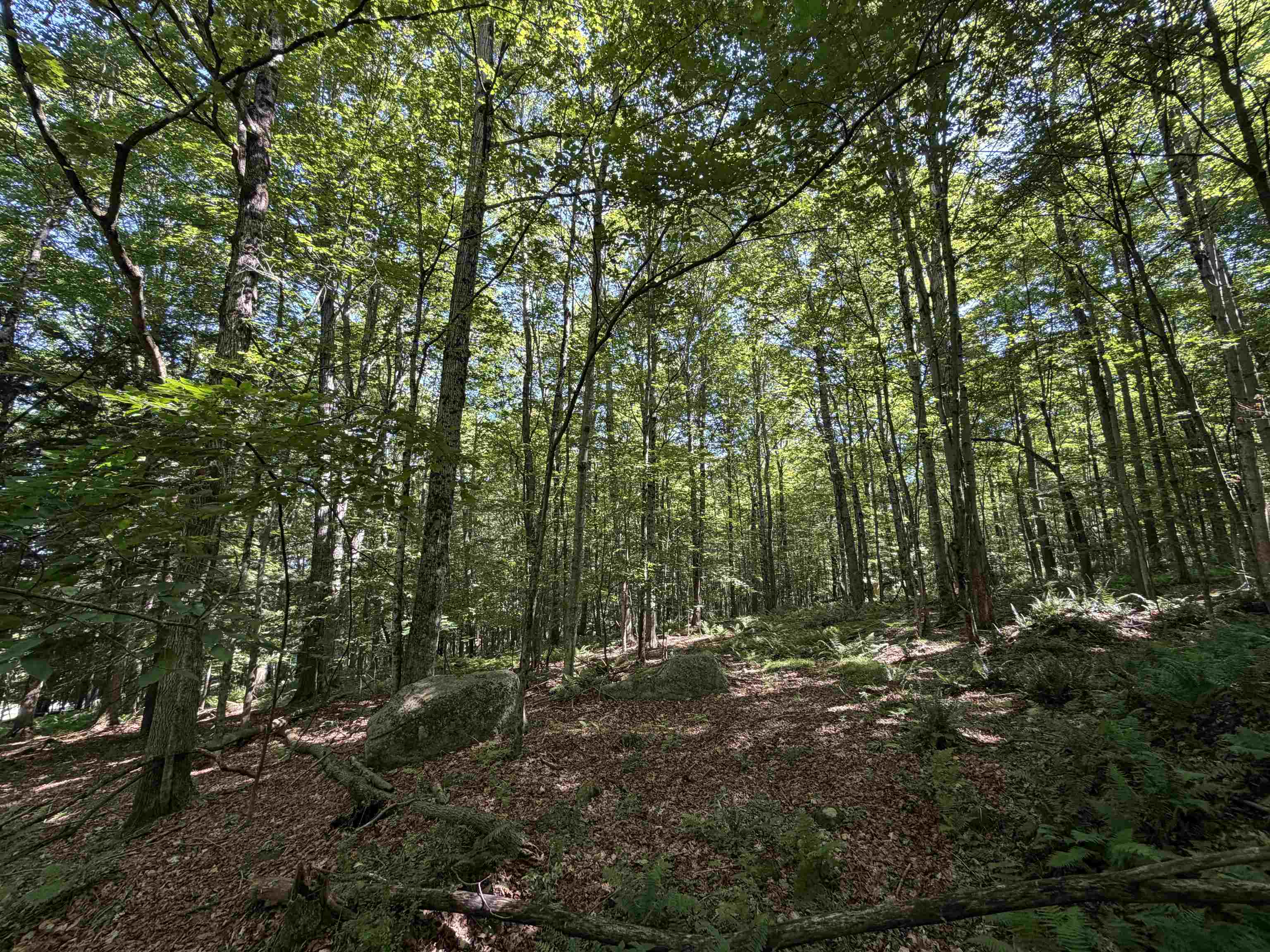 0 Slayton Hill Property Photo 12