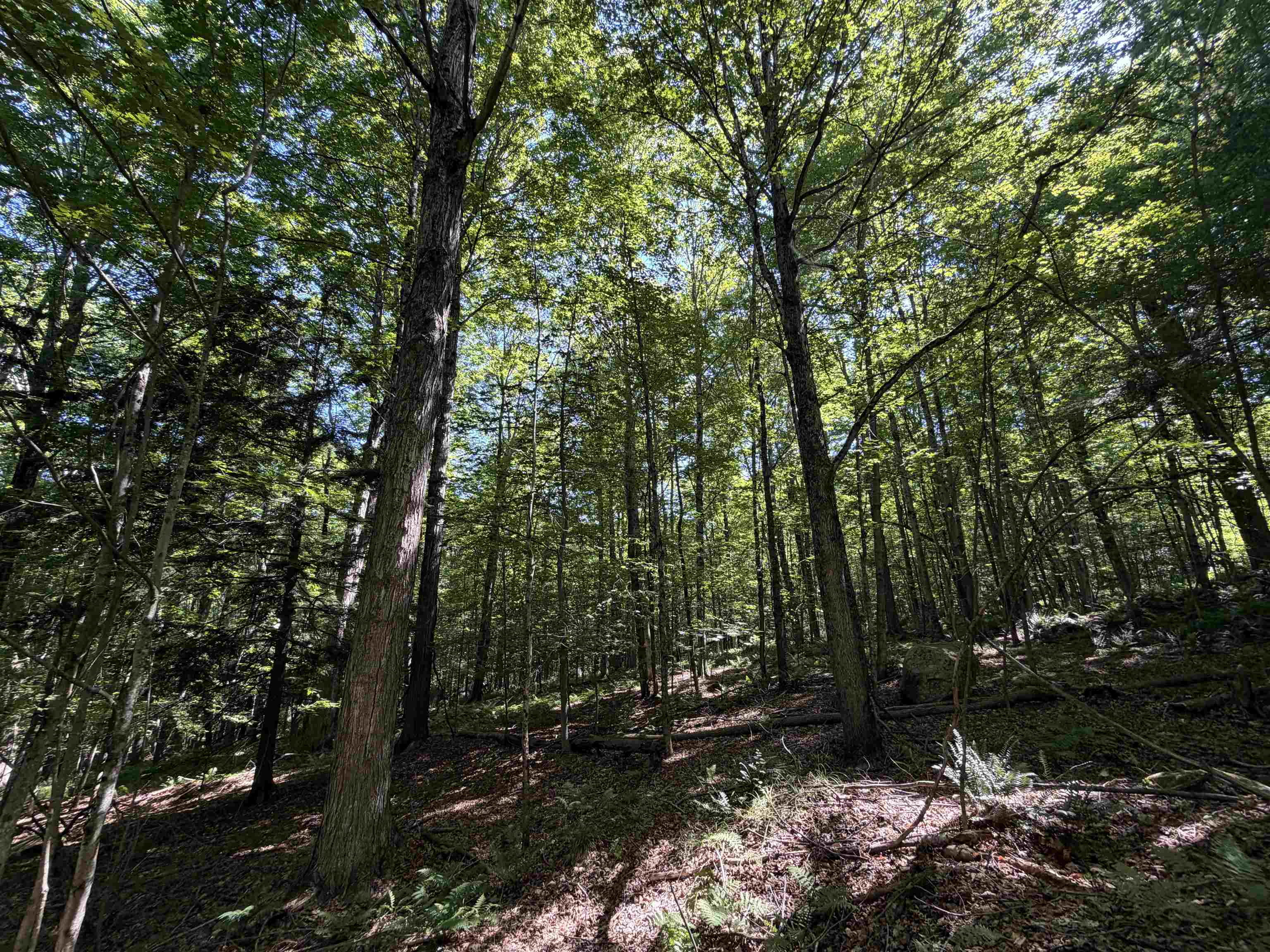 0 Slayton Hill Property Photo 13