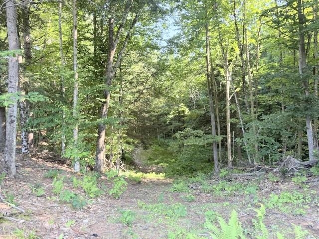 2673 U.s. Route 5 Property Photo 37