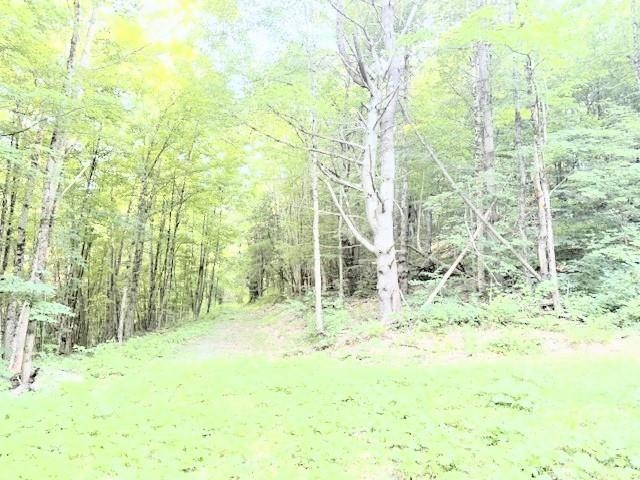 2673 U.s. Route 5 Property Photo 46