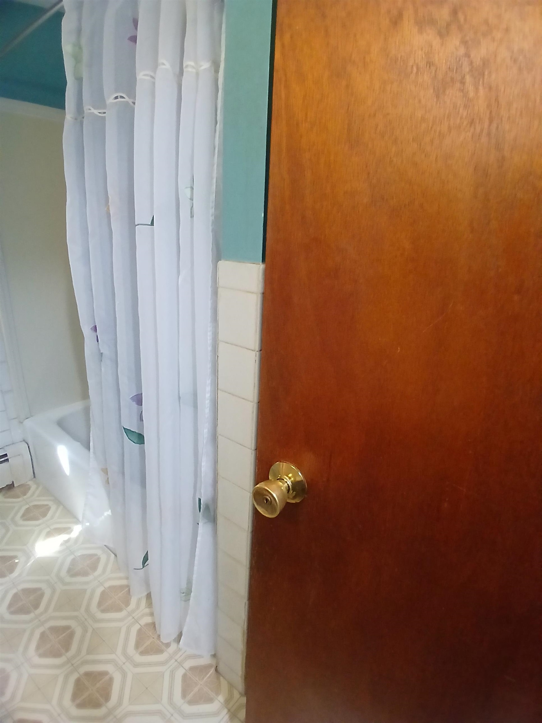 33 General Pulaski Drive Property Photo 19