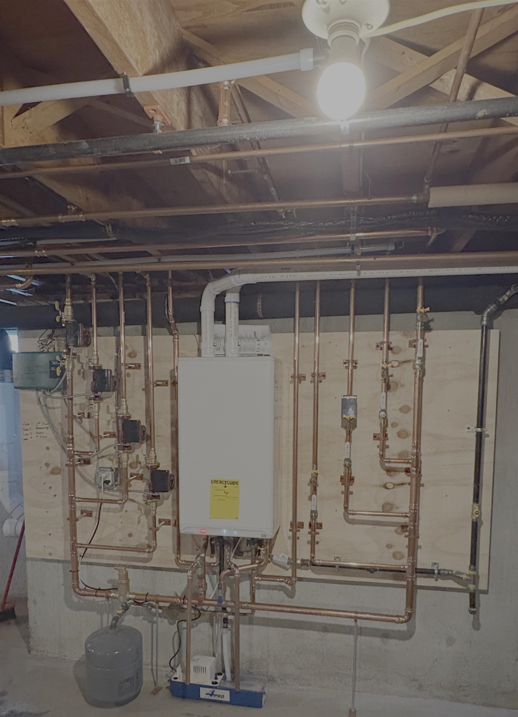 26 Lois Street Property Photo 28