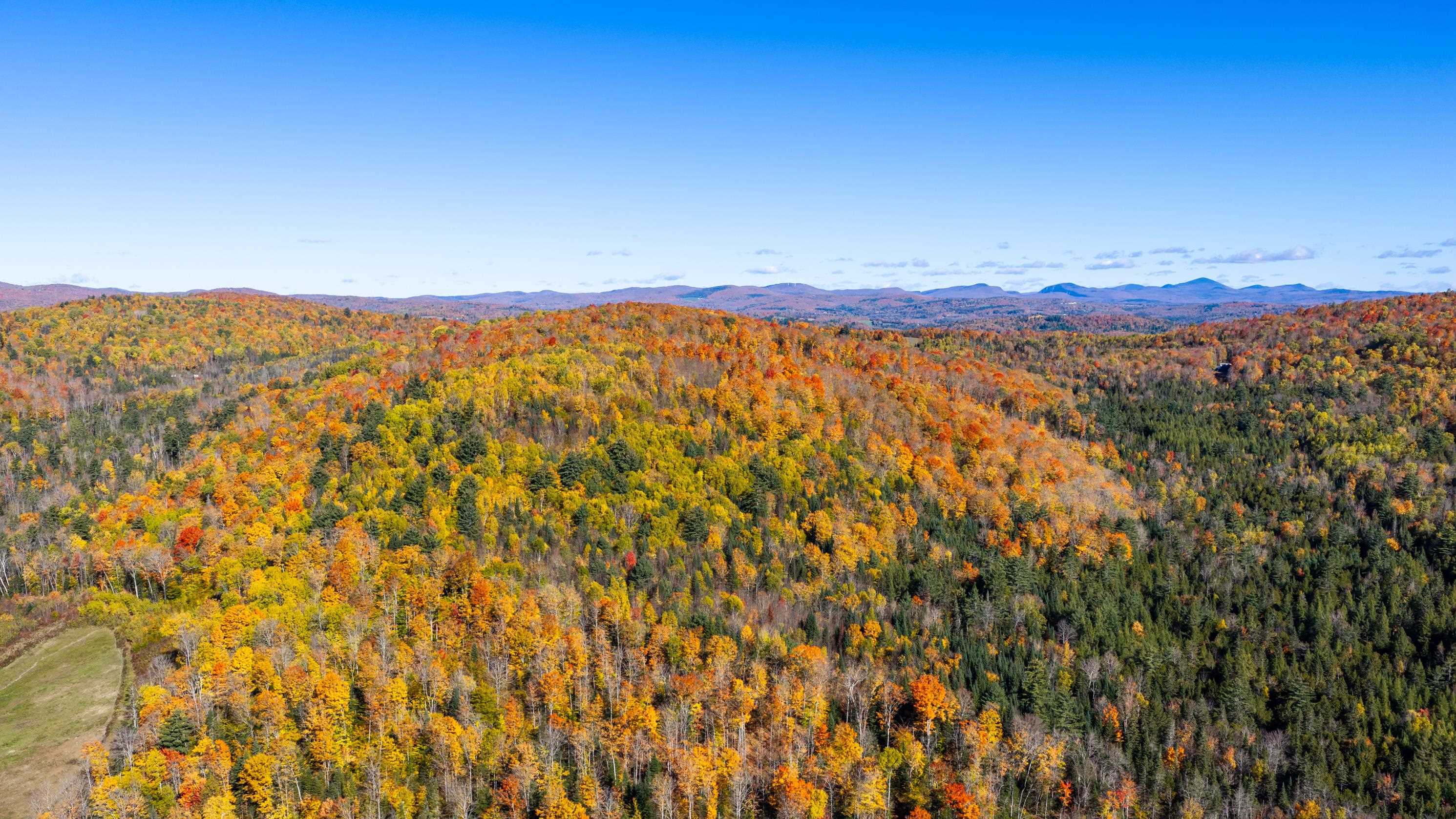 000 Old Man Mountain Road Property Photo 4