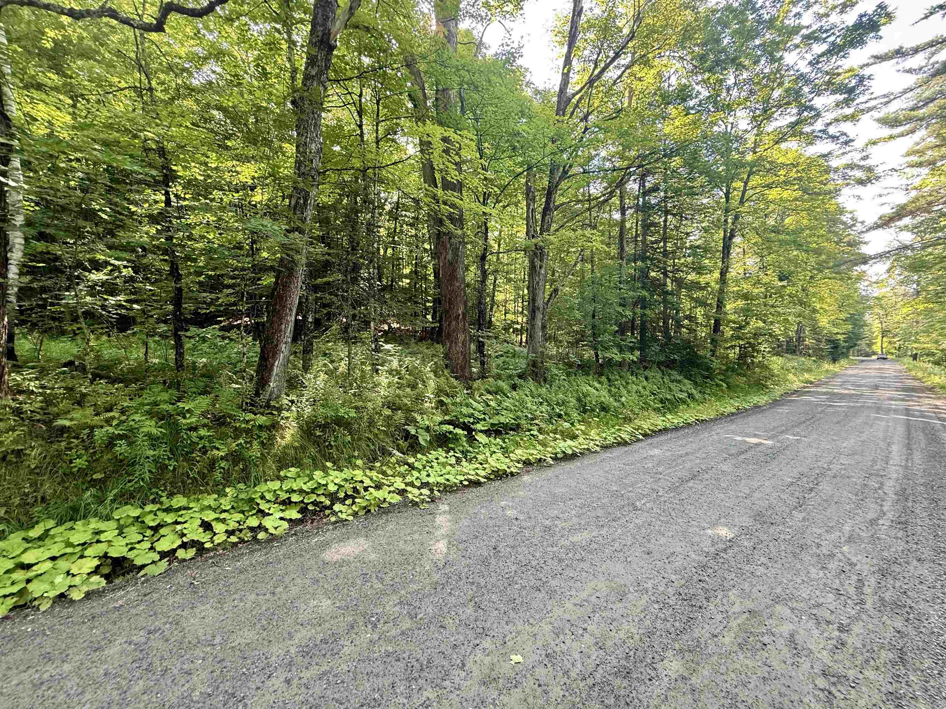 000 Old Man Mountain Road Property Photo 6