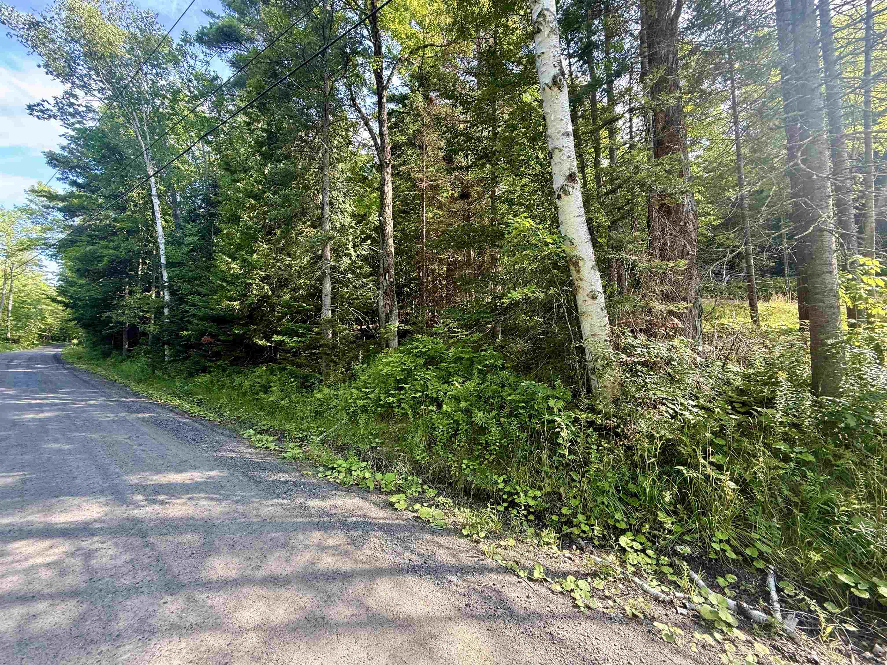000 Old Man Mountain Road Property Photo 7