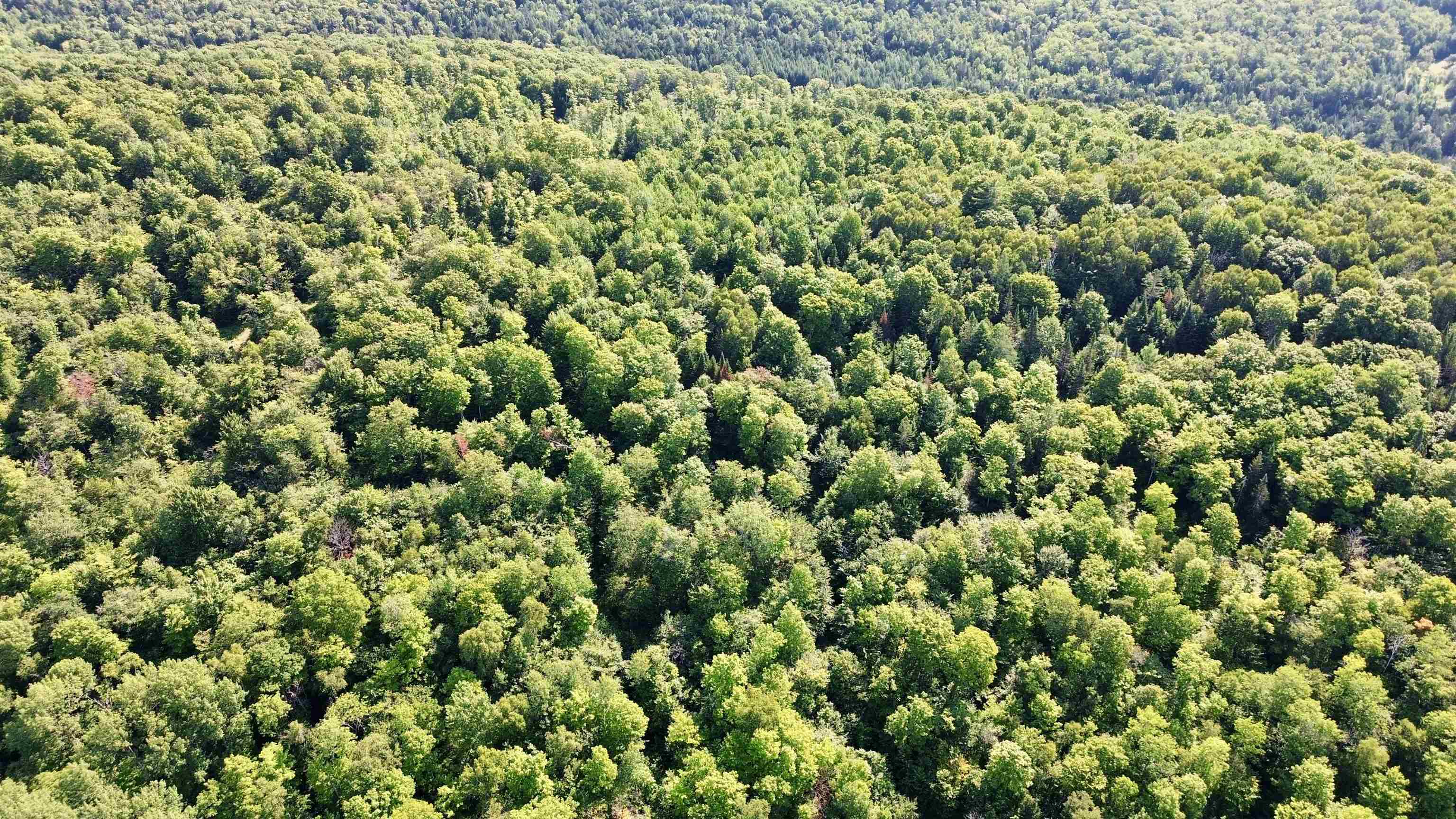 000 Old Man Mountain Road Property Photo 10