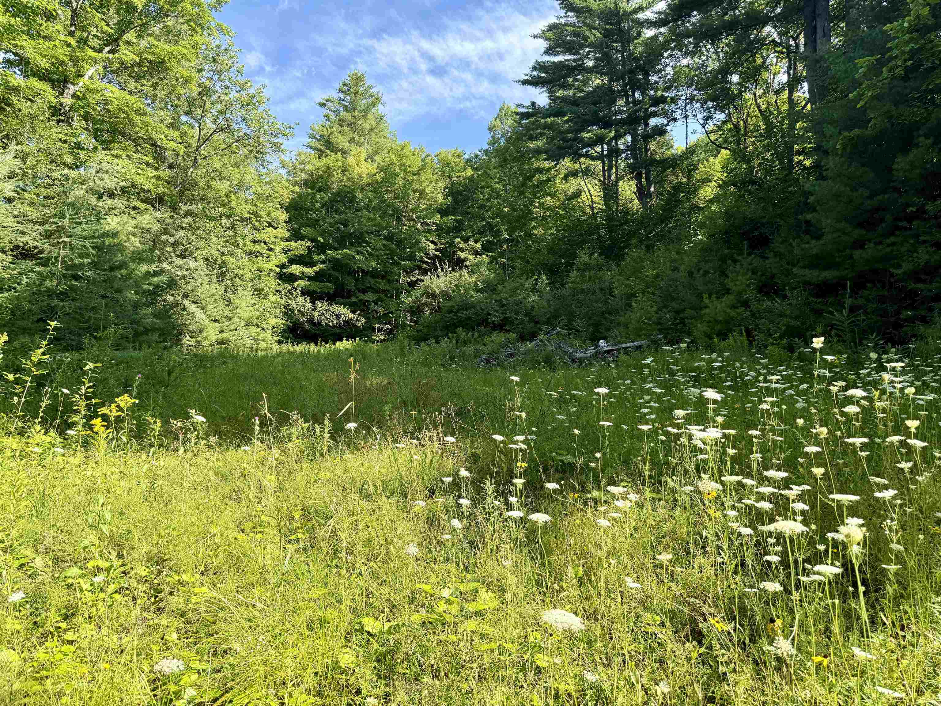 000 Old Man Mountain Road Property Photo 11