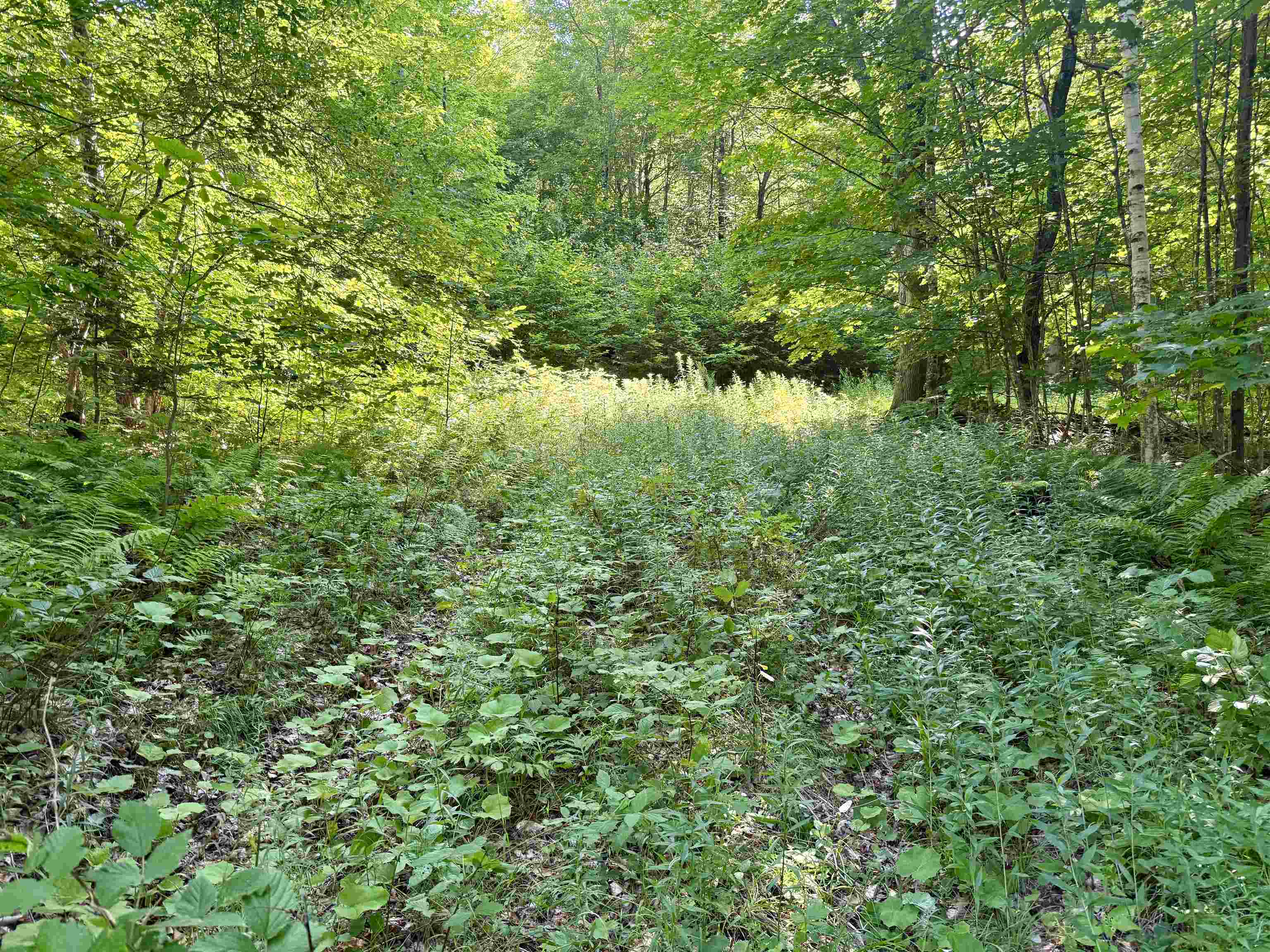 000 Old Man Mountain Road Property Photo 13