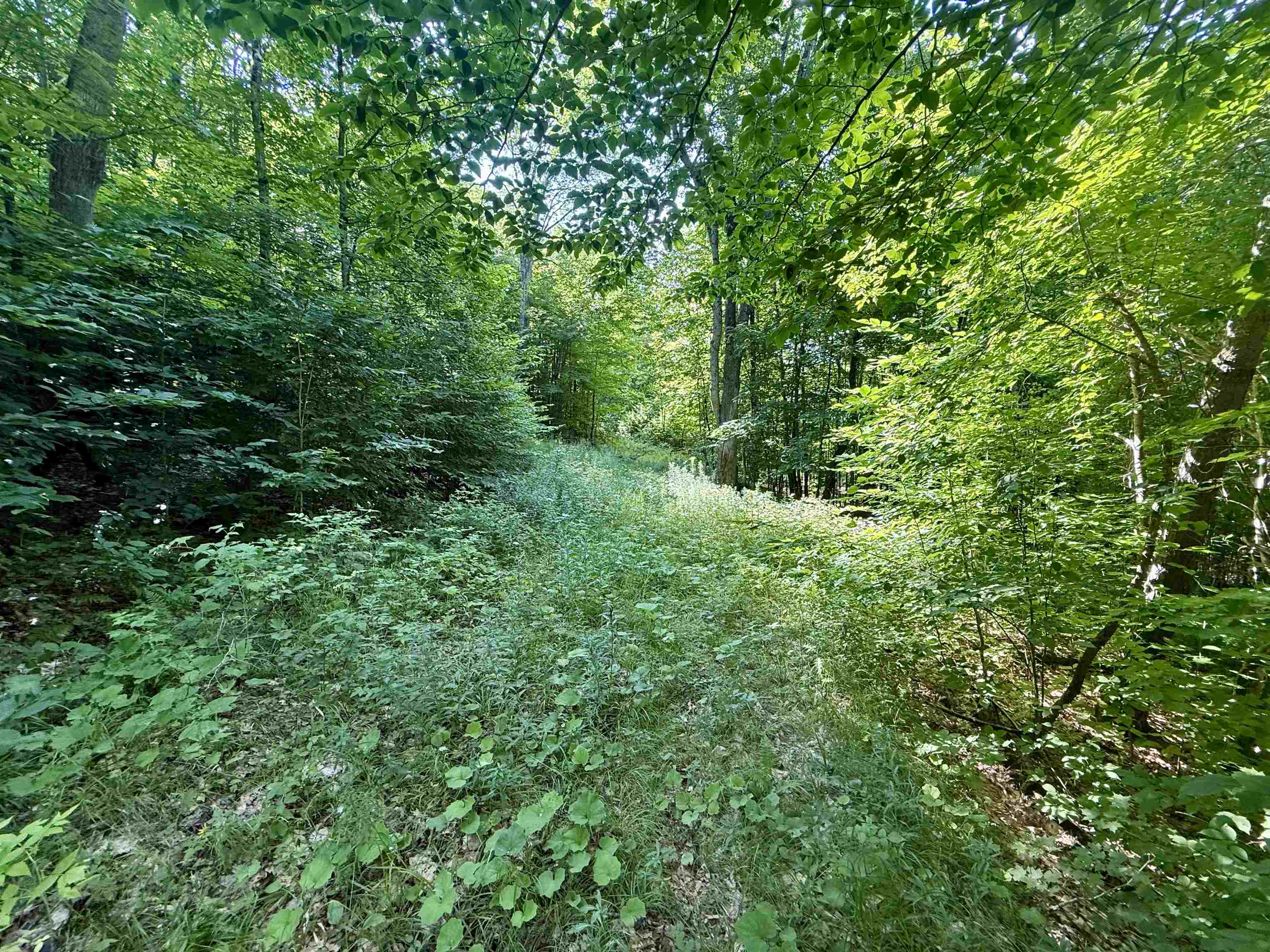 000 Old Man Mountain Road Property Photo 14