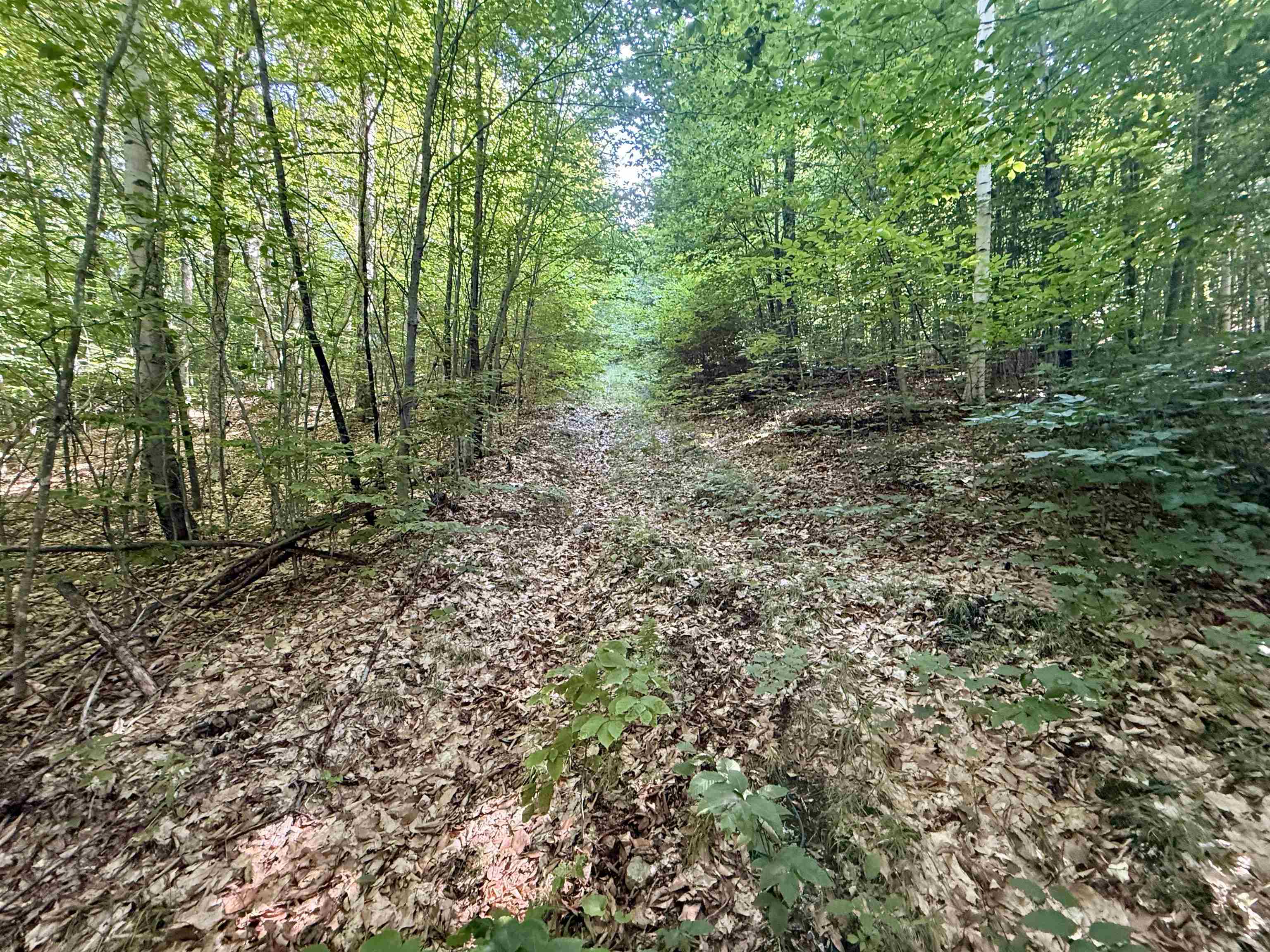 000 Old Man Mountain Road Property Photo 15