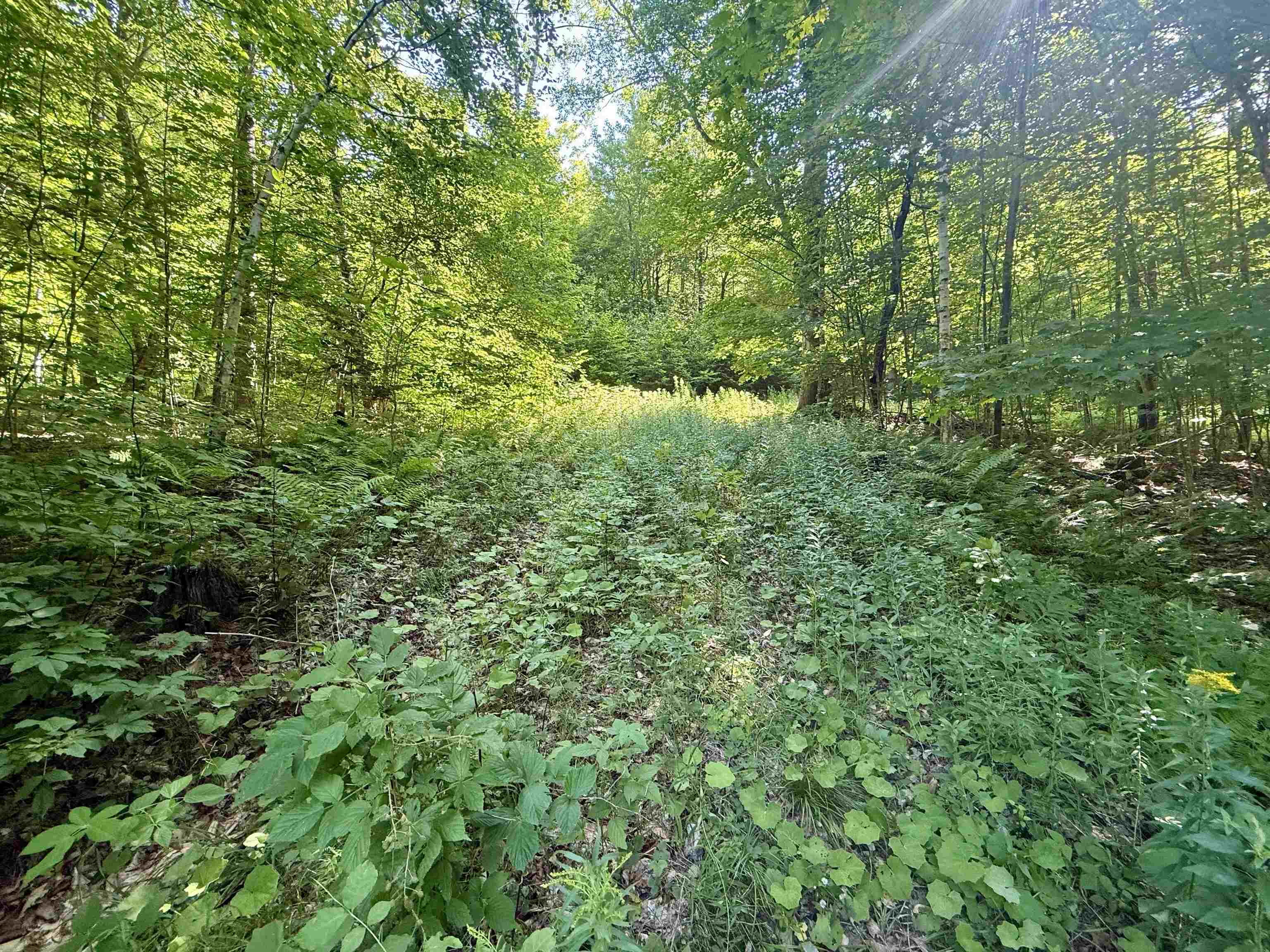 000 Old Man Mountain Road Property Photo 16