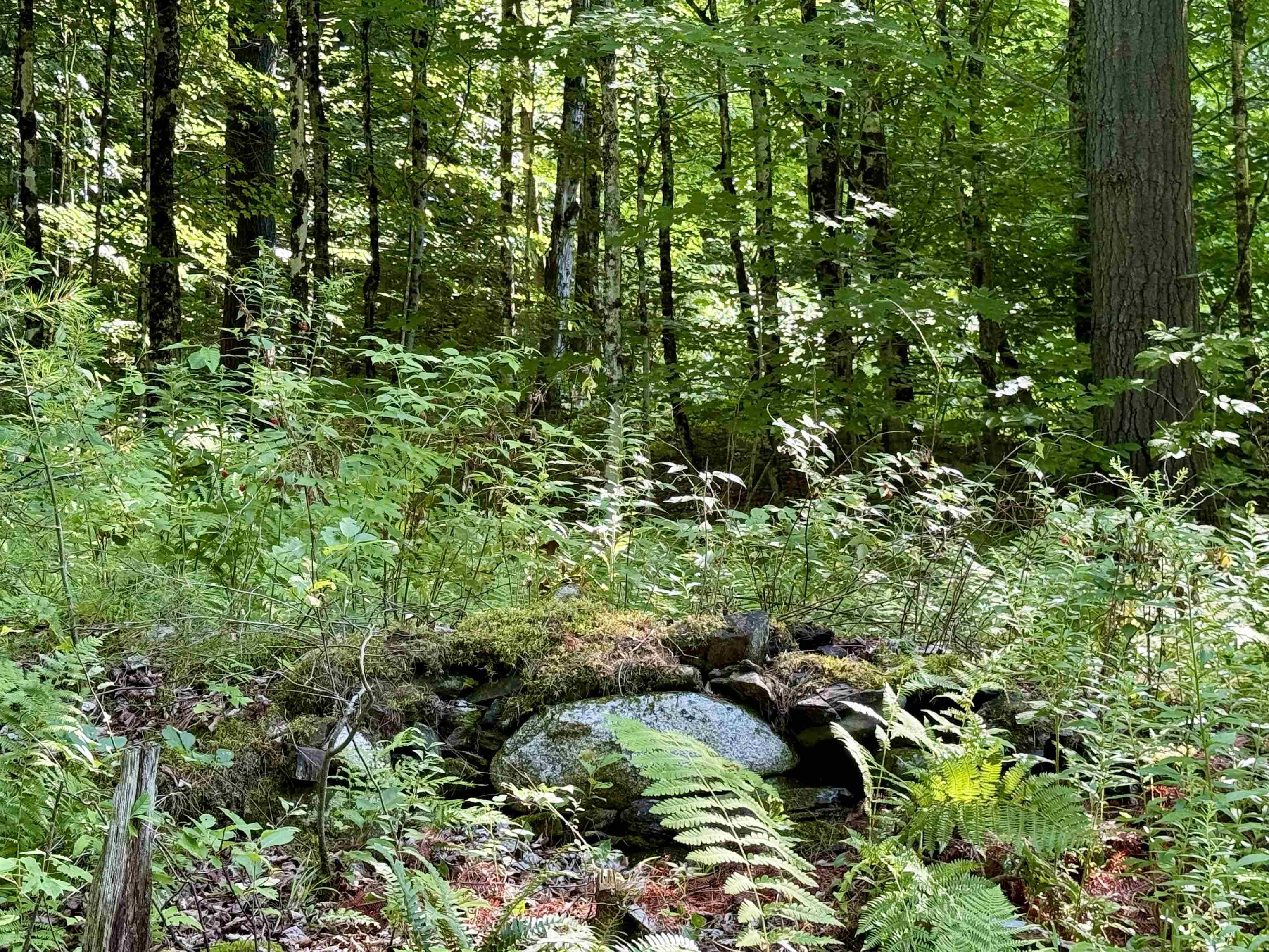 000 Old Man Mountain Road Property Photo 18