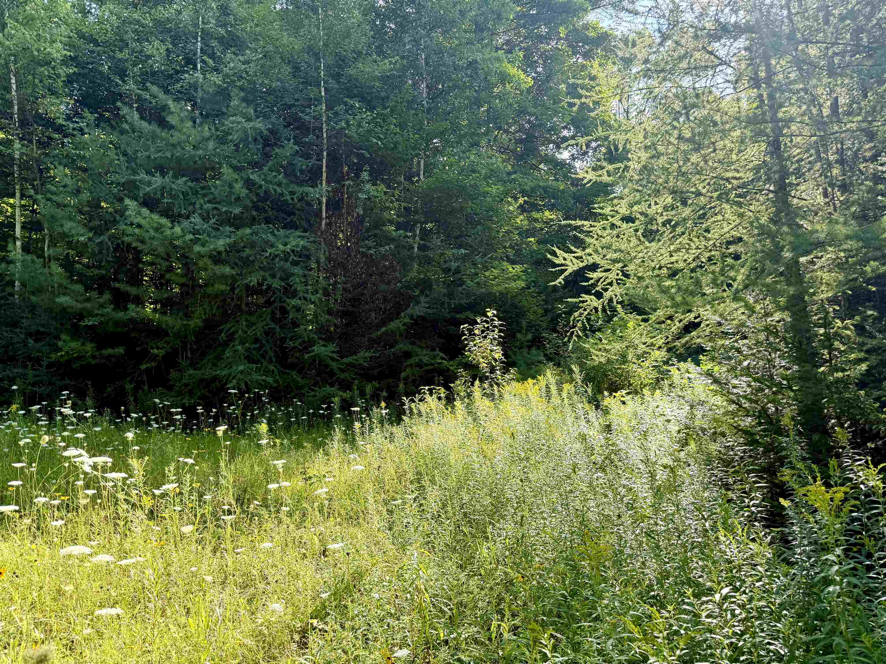 000 Old Man Mountain Road Property Photo 19
