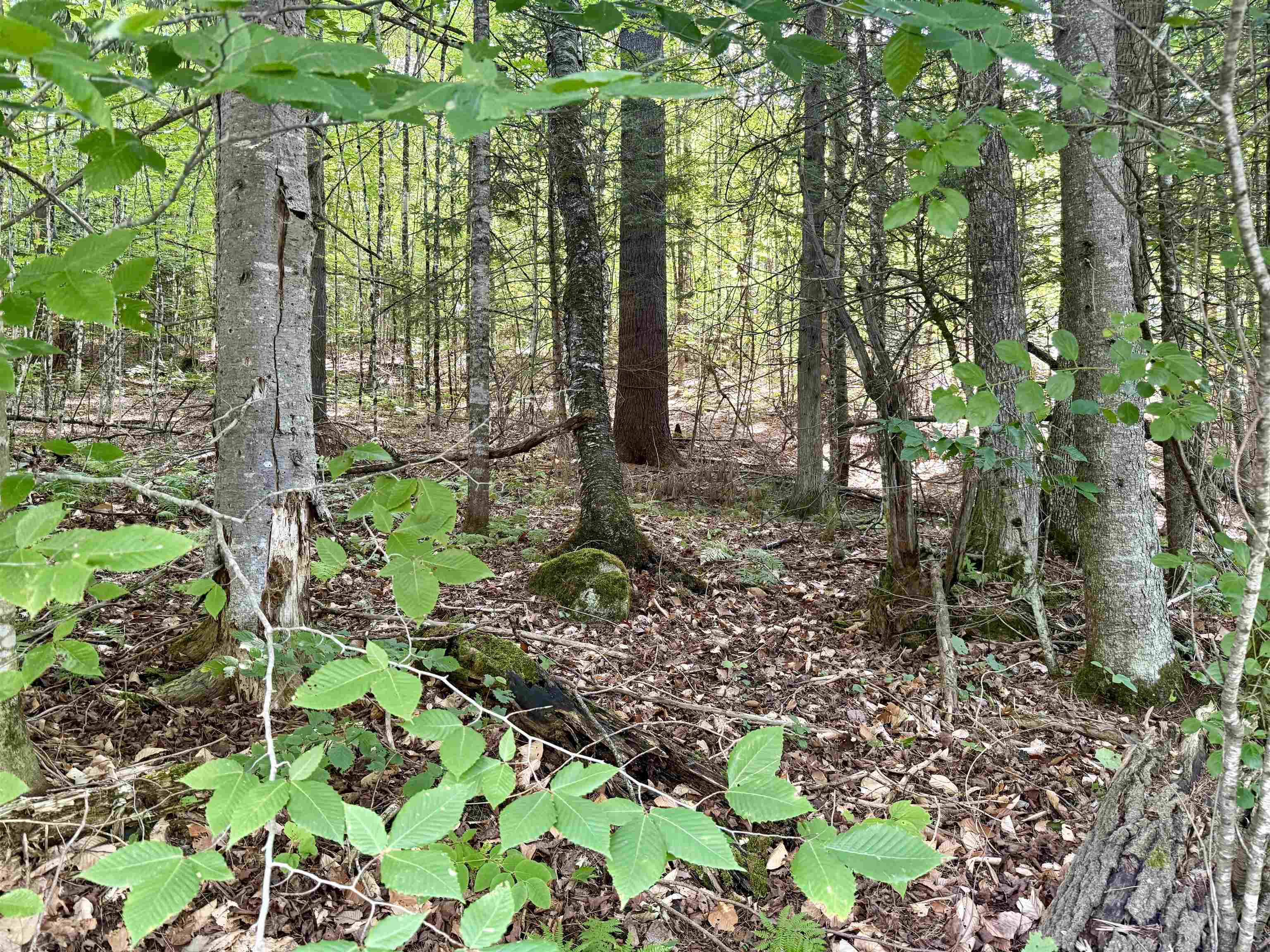 000 Old Man Mountain Road Property Photo 20