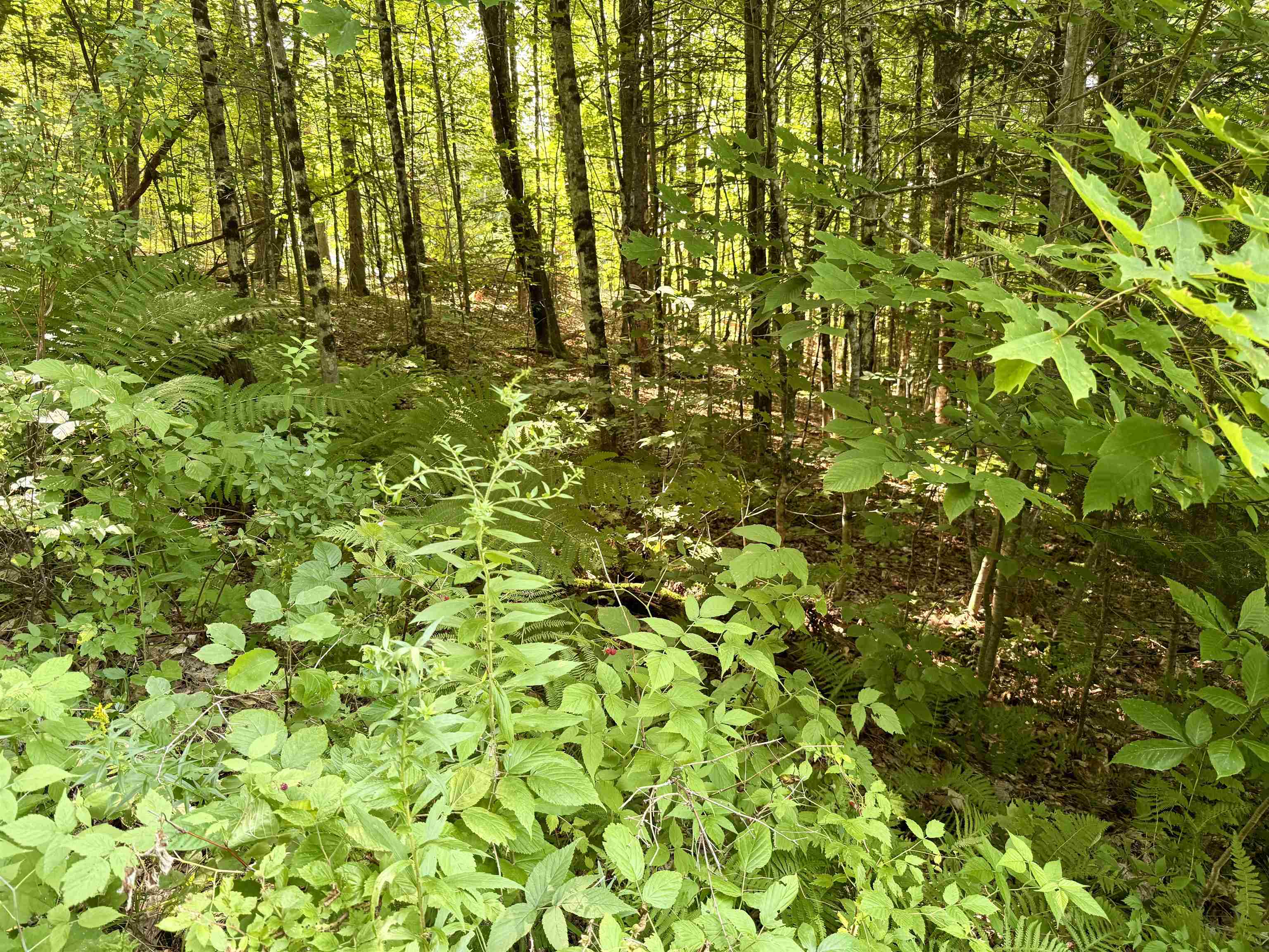 000 Old Man Mountain Road Property Photo 21