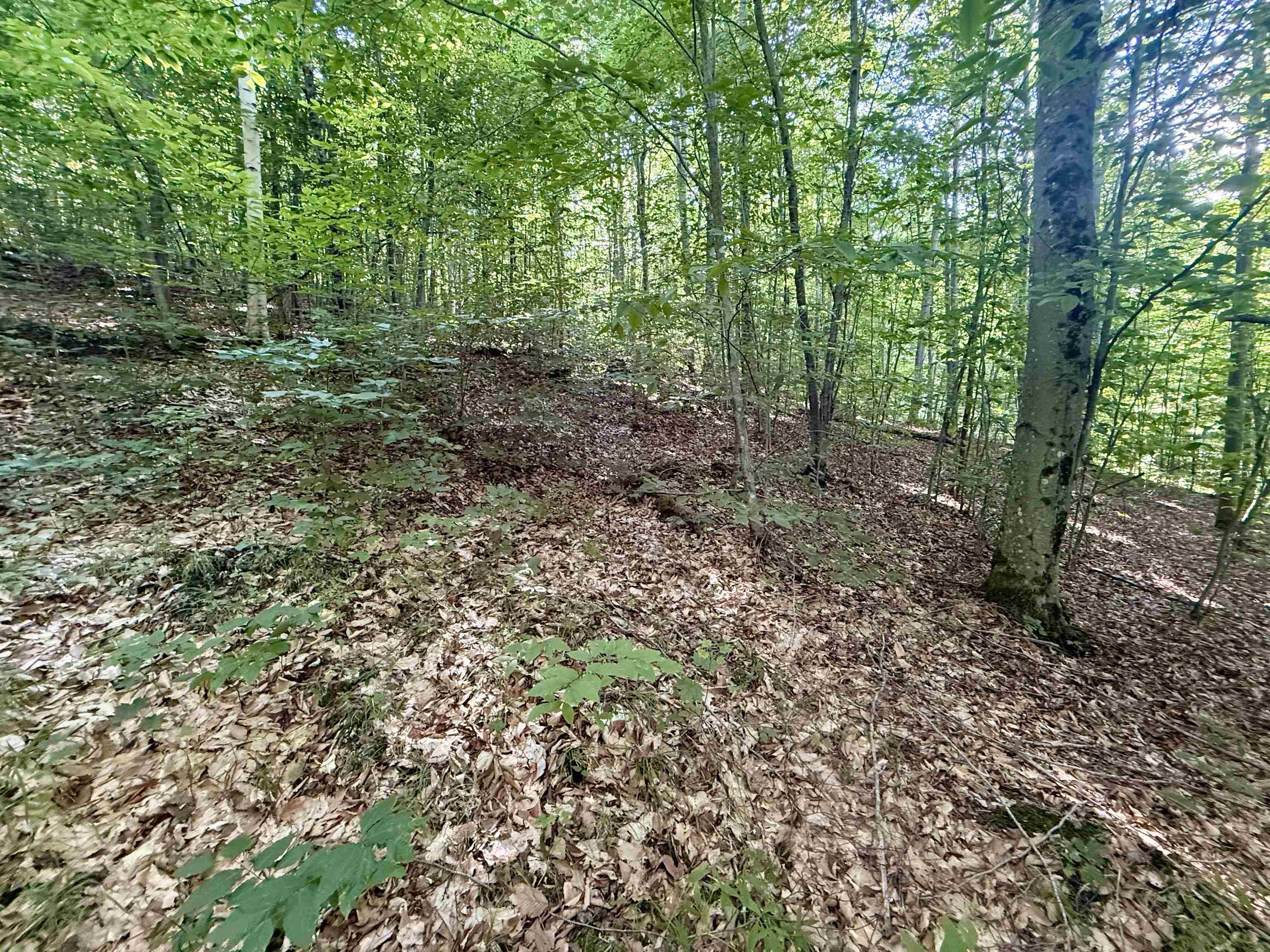 000 Old Man Mountain Road Property Photo 22