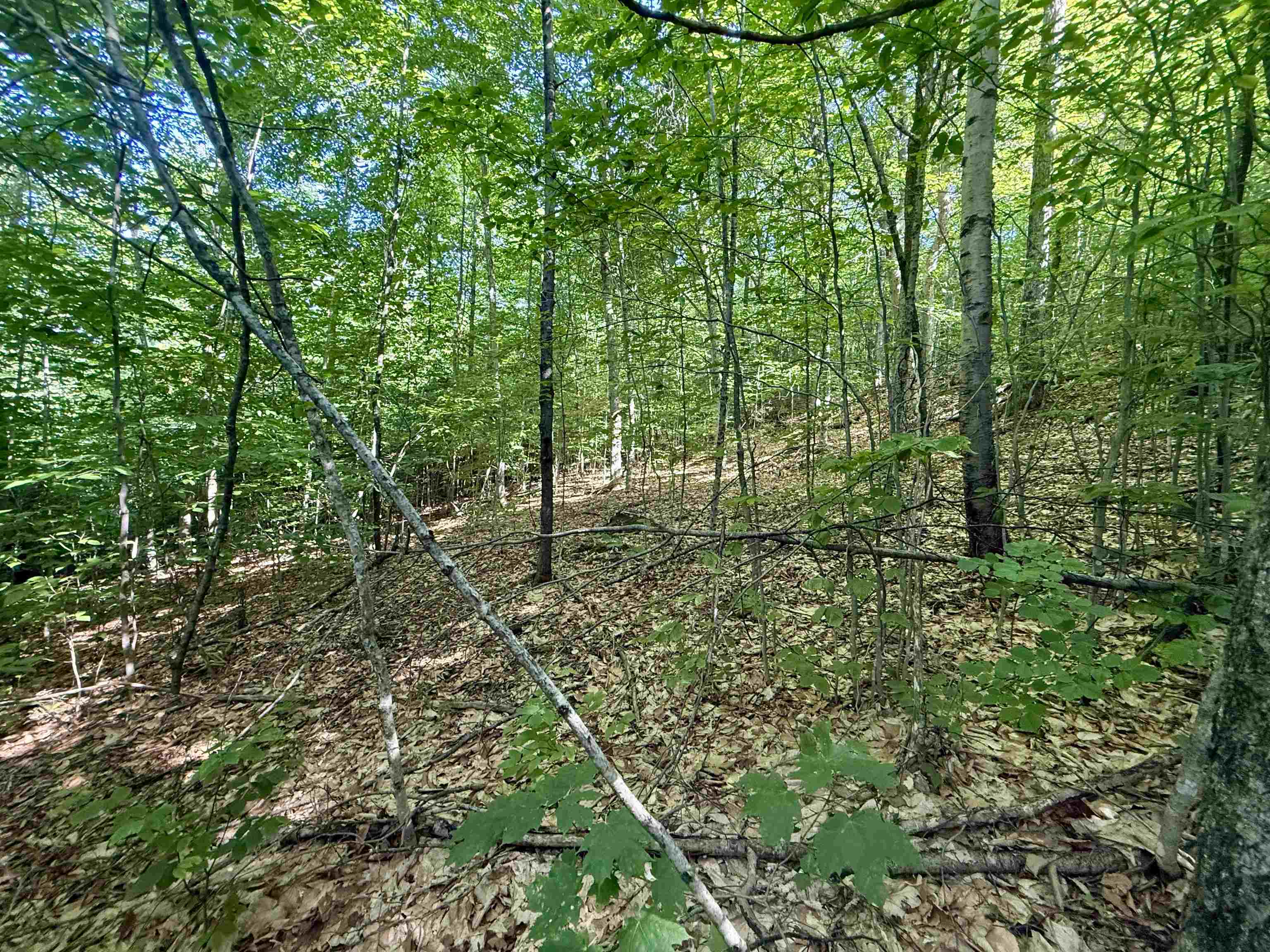 000 Old Man Mountain Road Property Photo 23