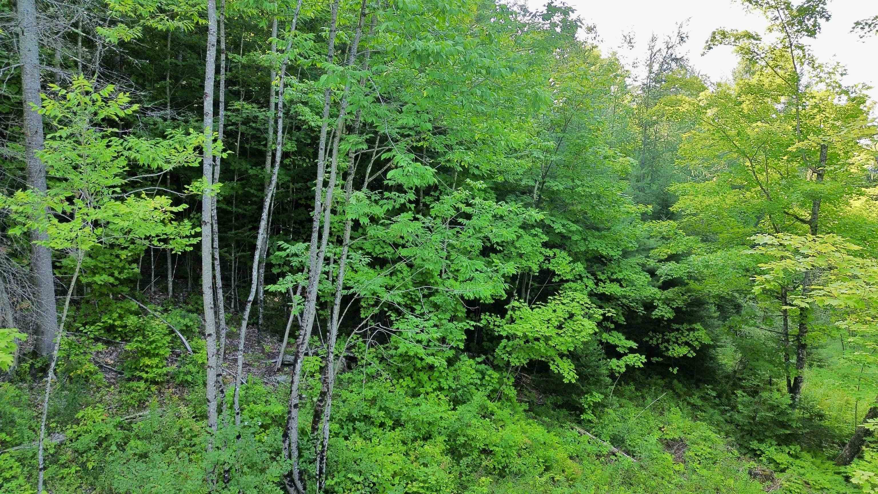000 Old Man Mountain Road Property Photo 24