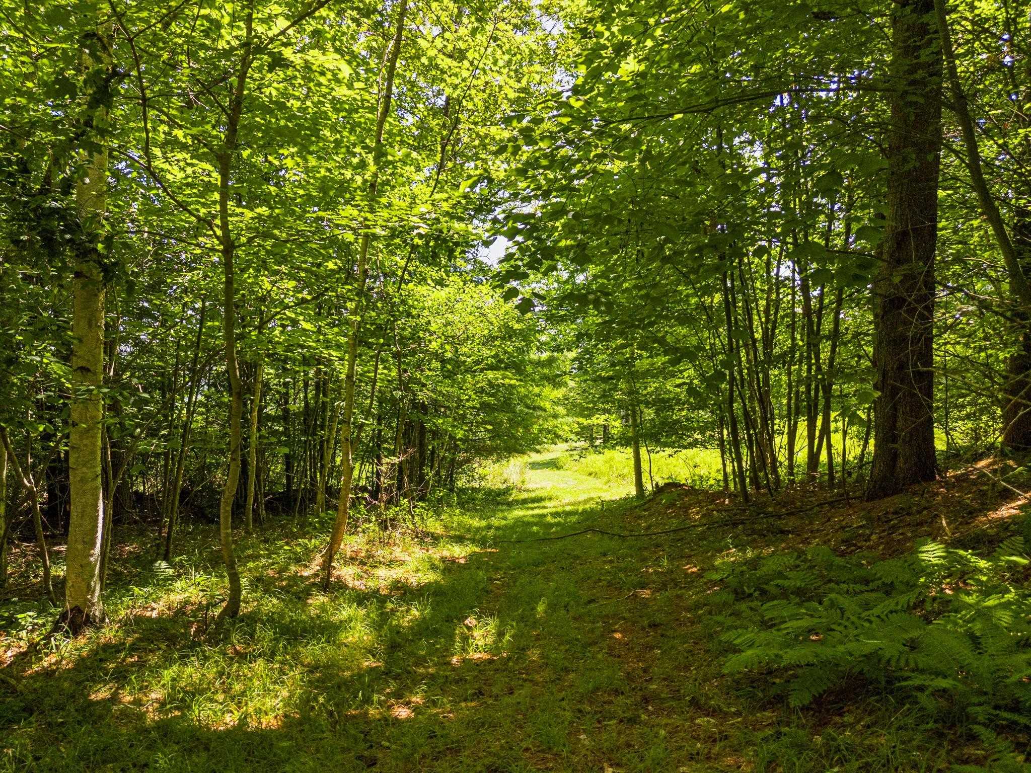 775 548 Sugar House Road Property Photo 56