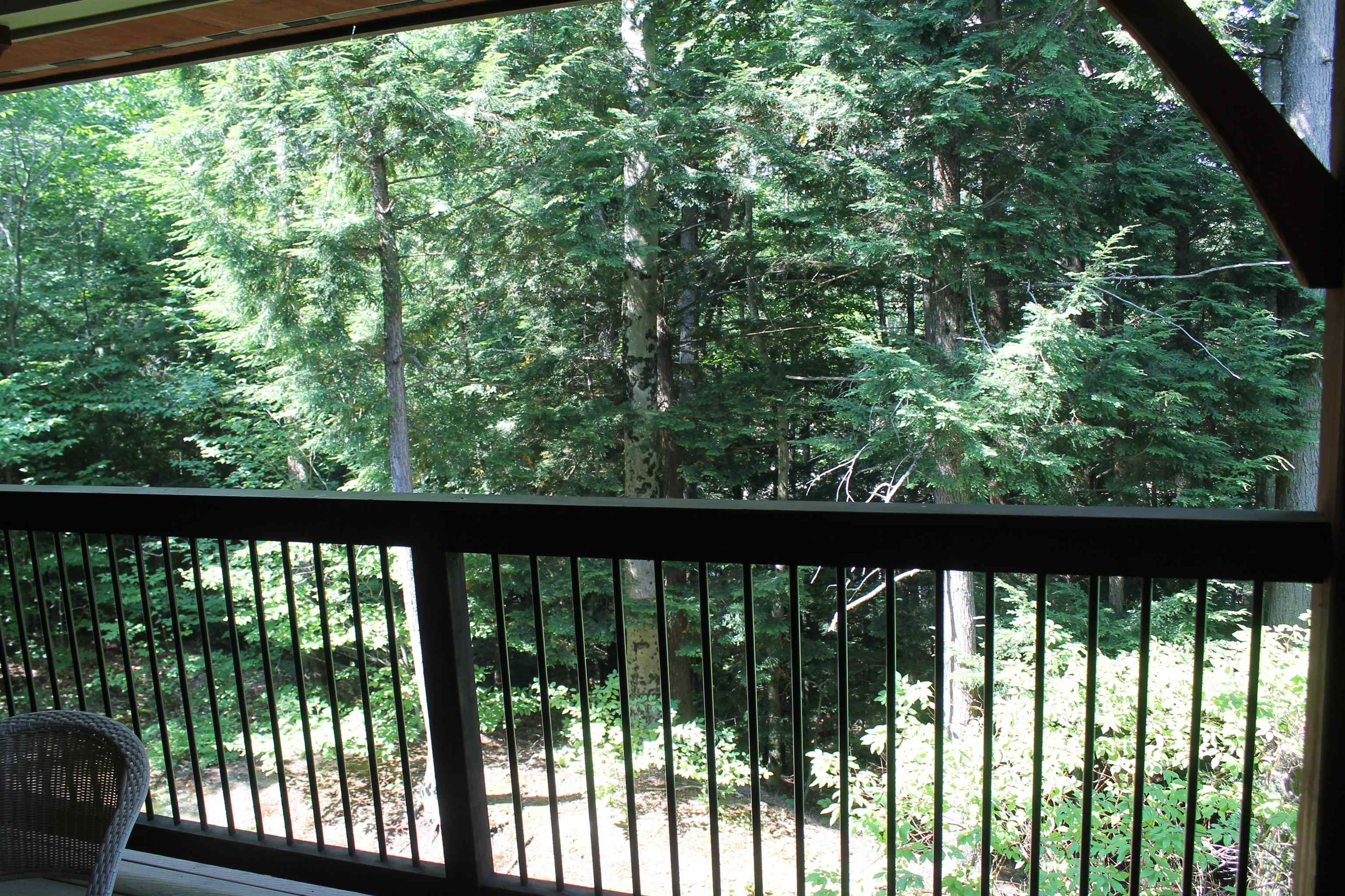 15 Riverside Terrace Drive Property Photo 43