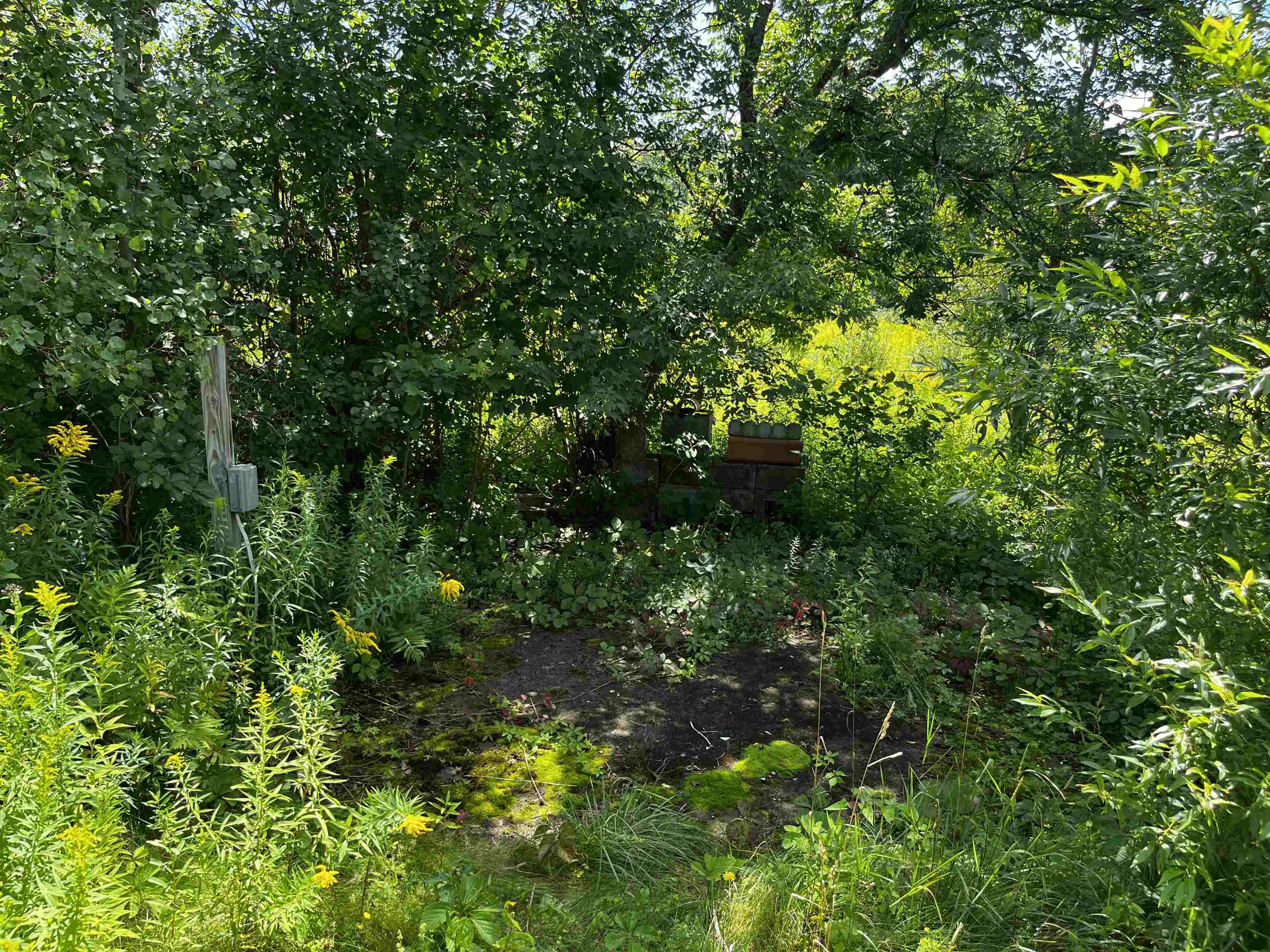 135 West Main Street Property Photo 11