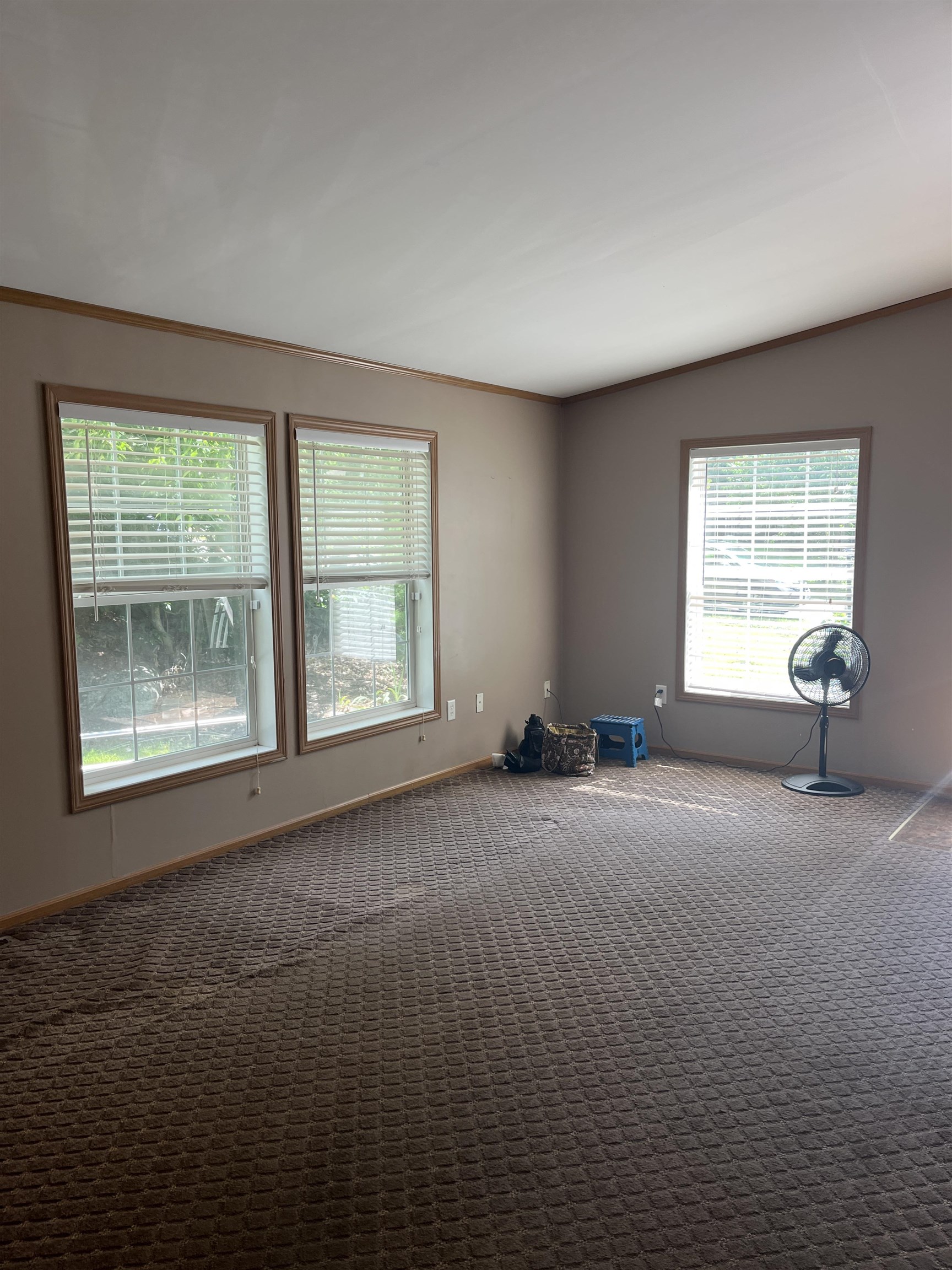 34 Ivy Lane Property Photo 21