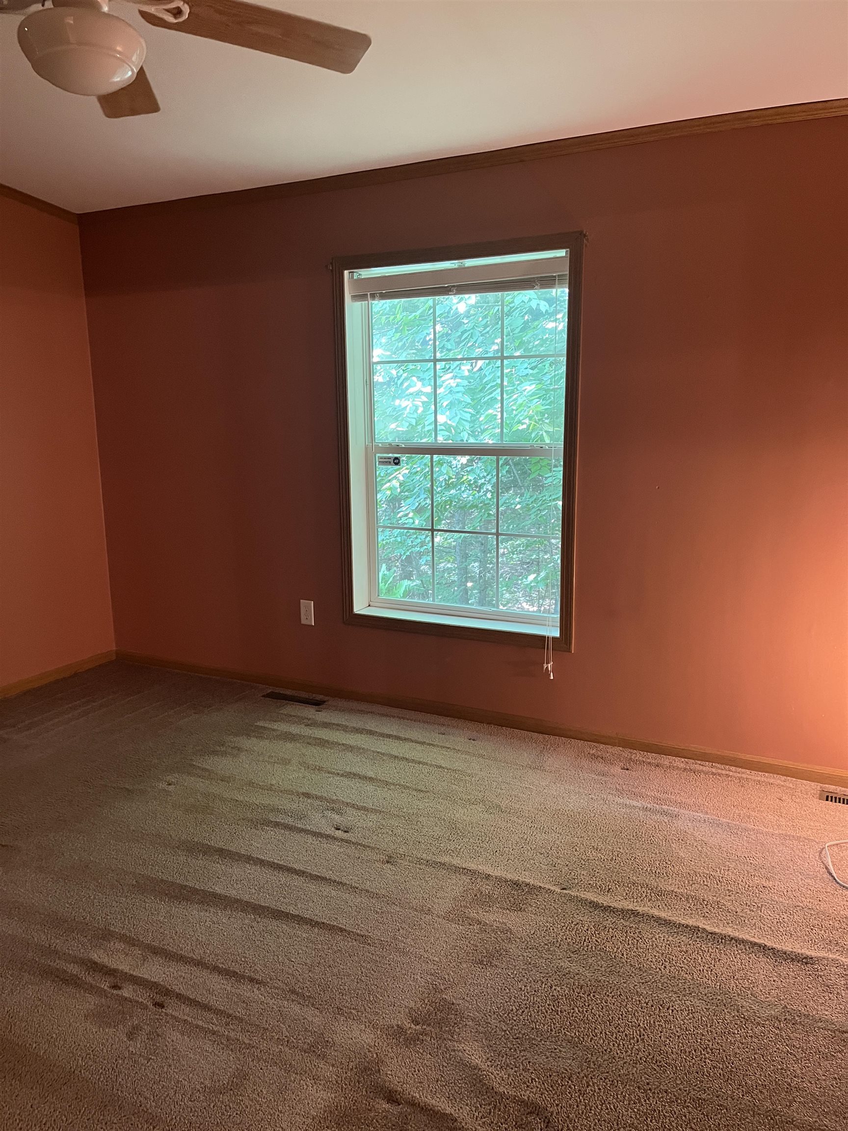 34 Ivy Lane Property Photo 23