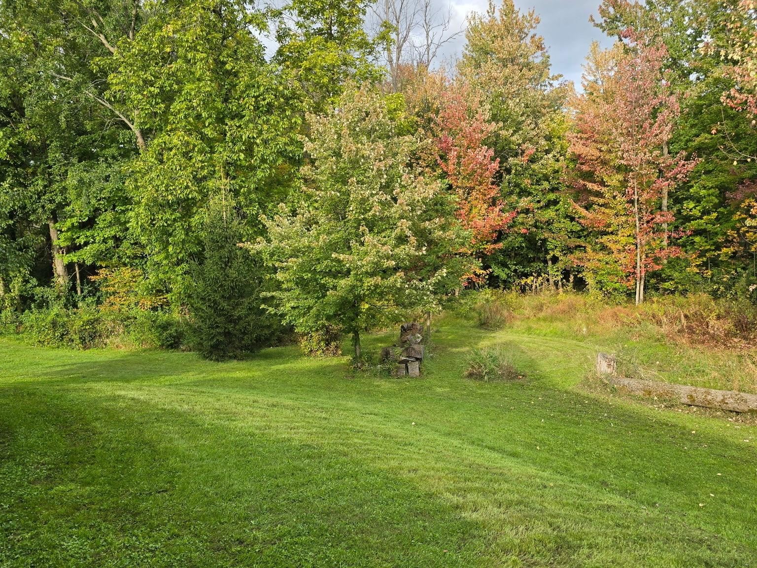 236 Baker Street Property Photo 45