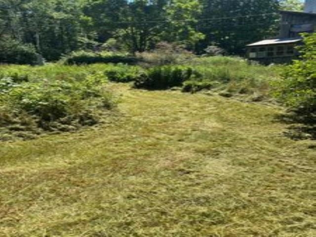 232 Kellogg Mill Road Property Photo 6