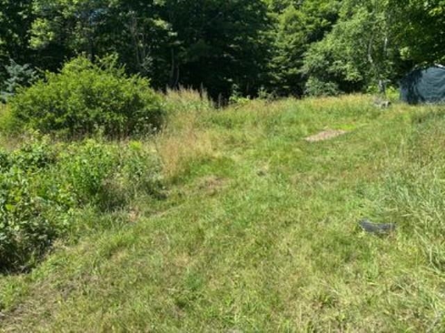 232 Kellogg Mill Road Property Photo 8