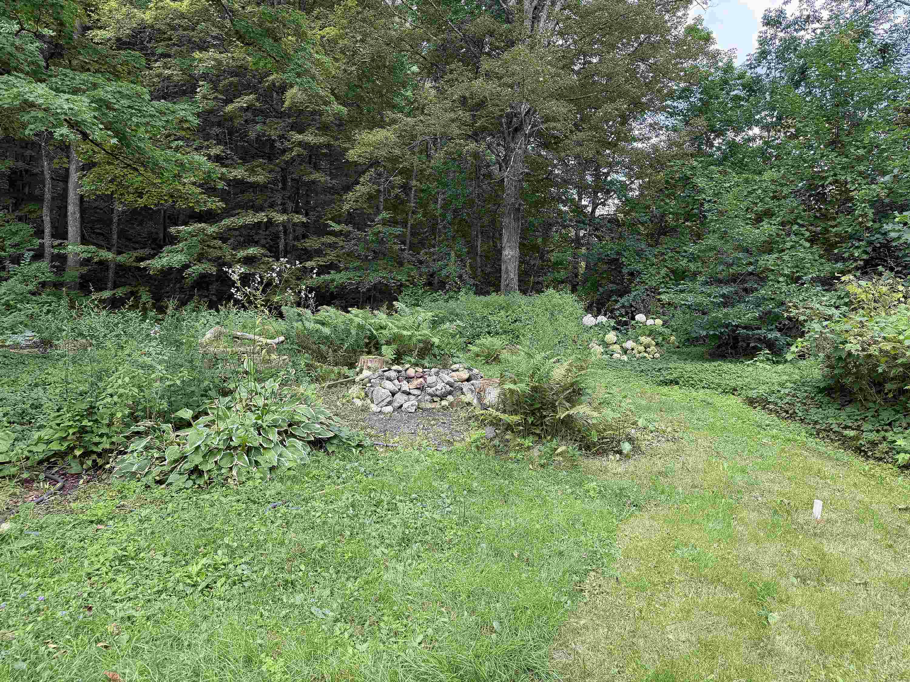 313 Dover Road Property Photo 6