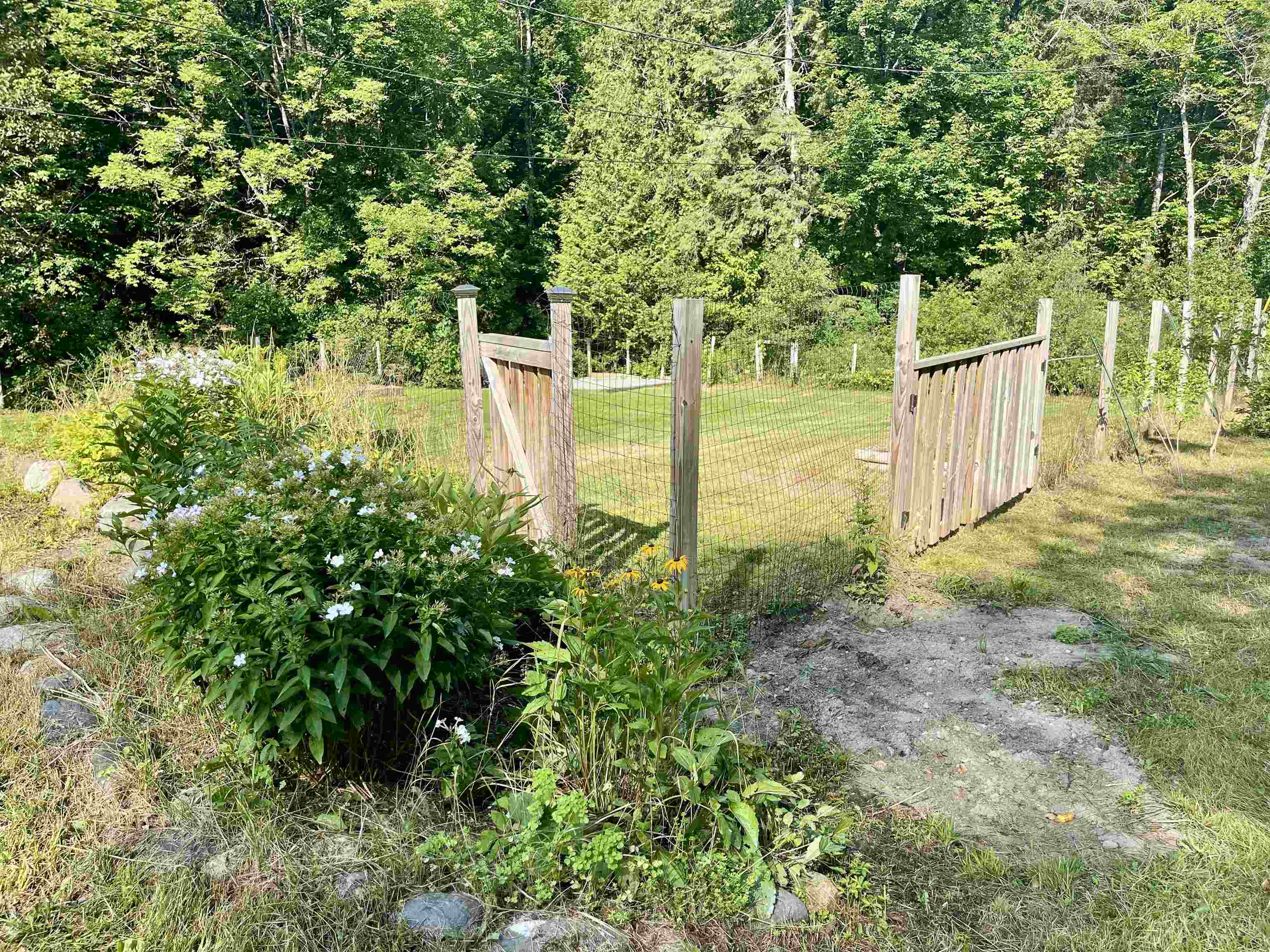 3131 Hollow Road Property Photo 43