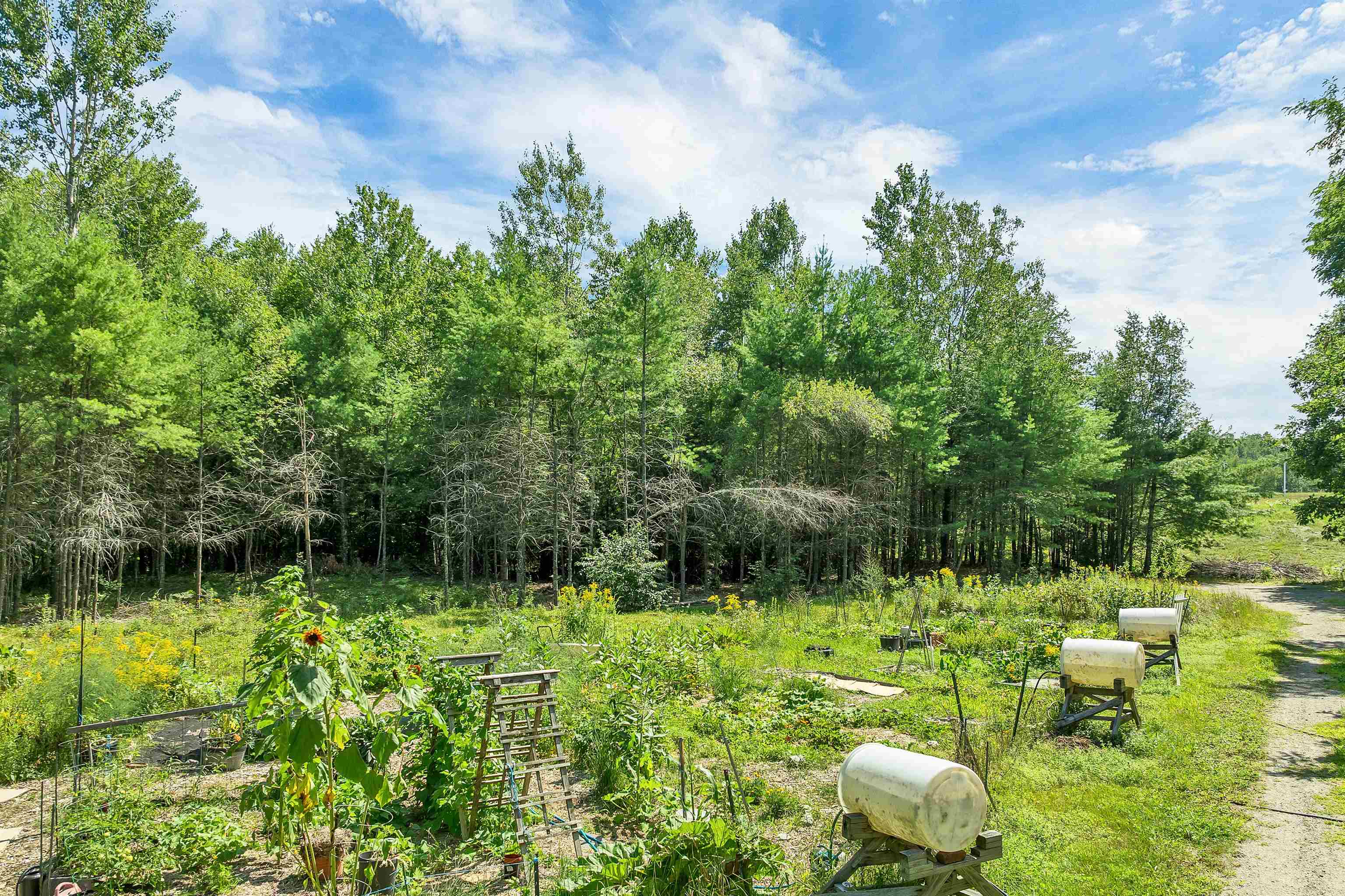 19 Saco Street Property Photo 11