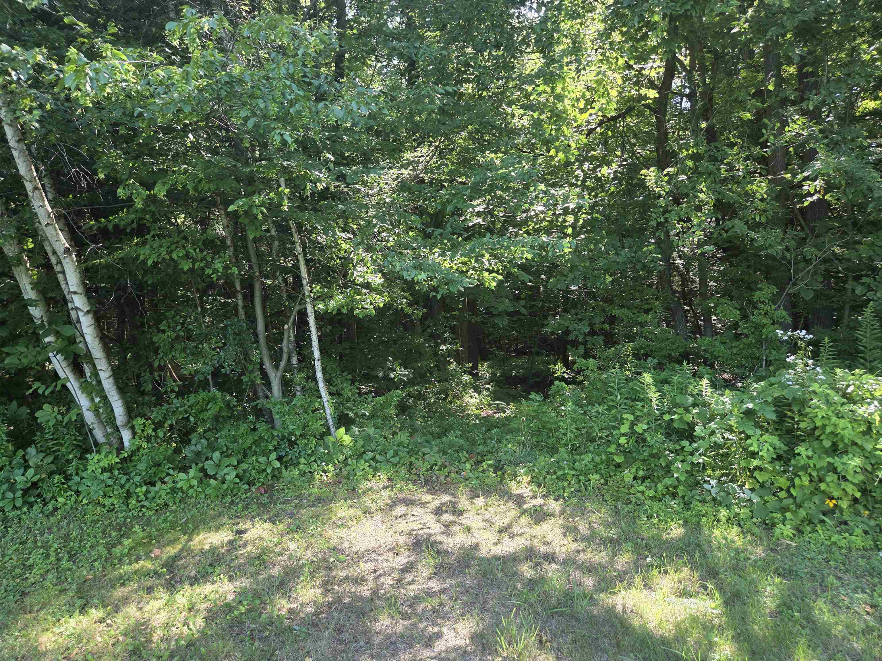 00 Basin Harbor Road Property Photo 4