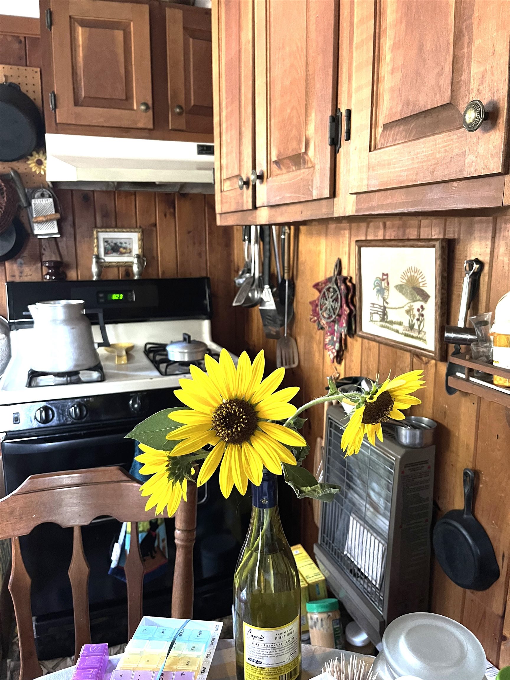 146 Pine Lane Property Photo 23