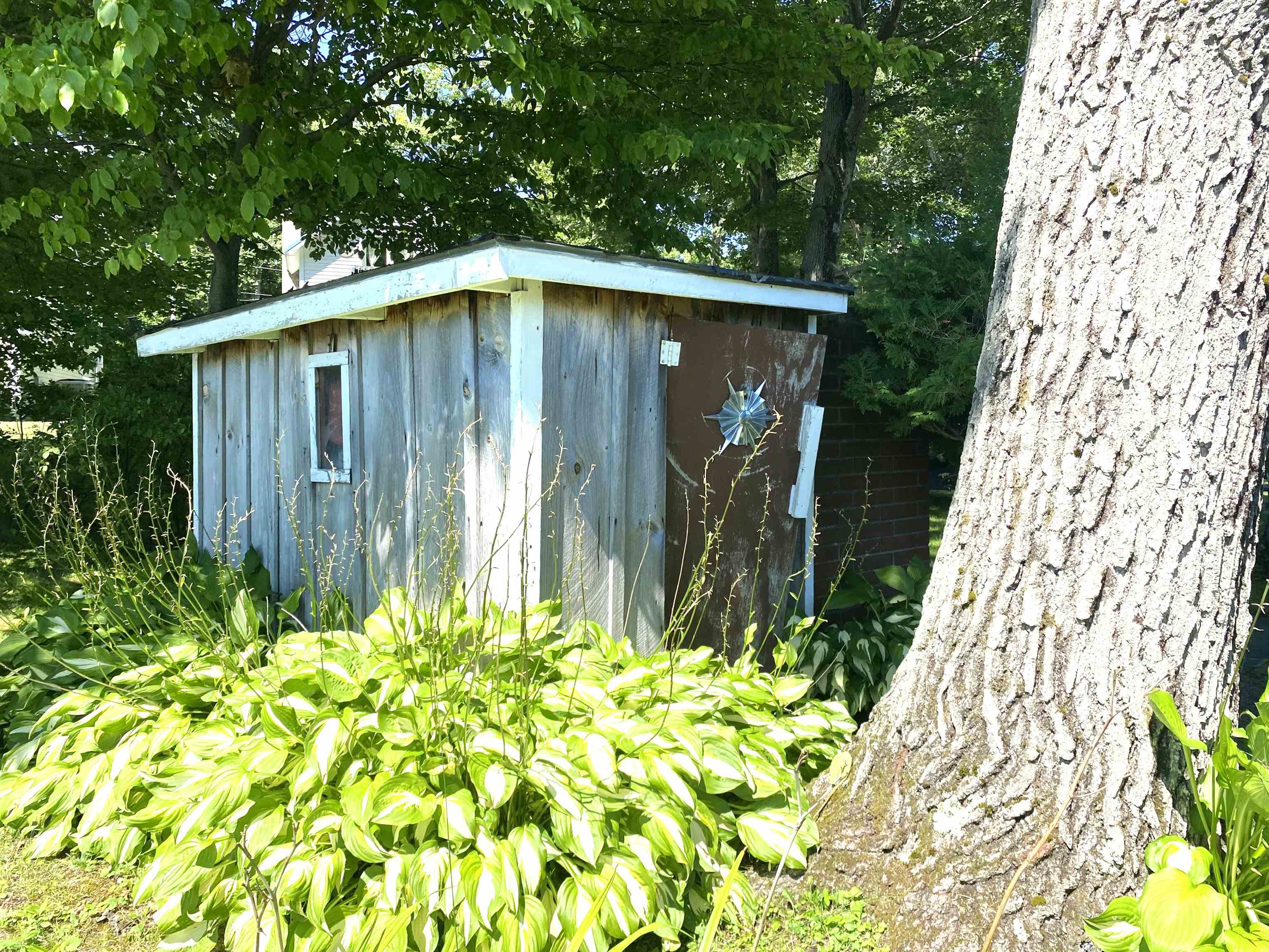 146 Pine Lane Property Photo 36