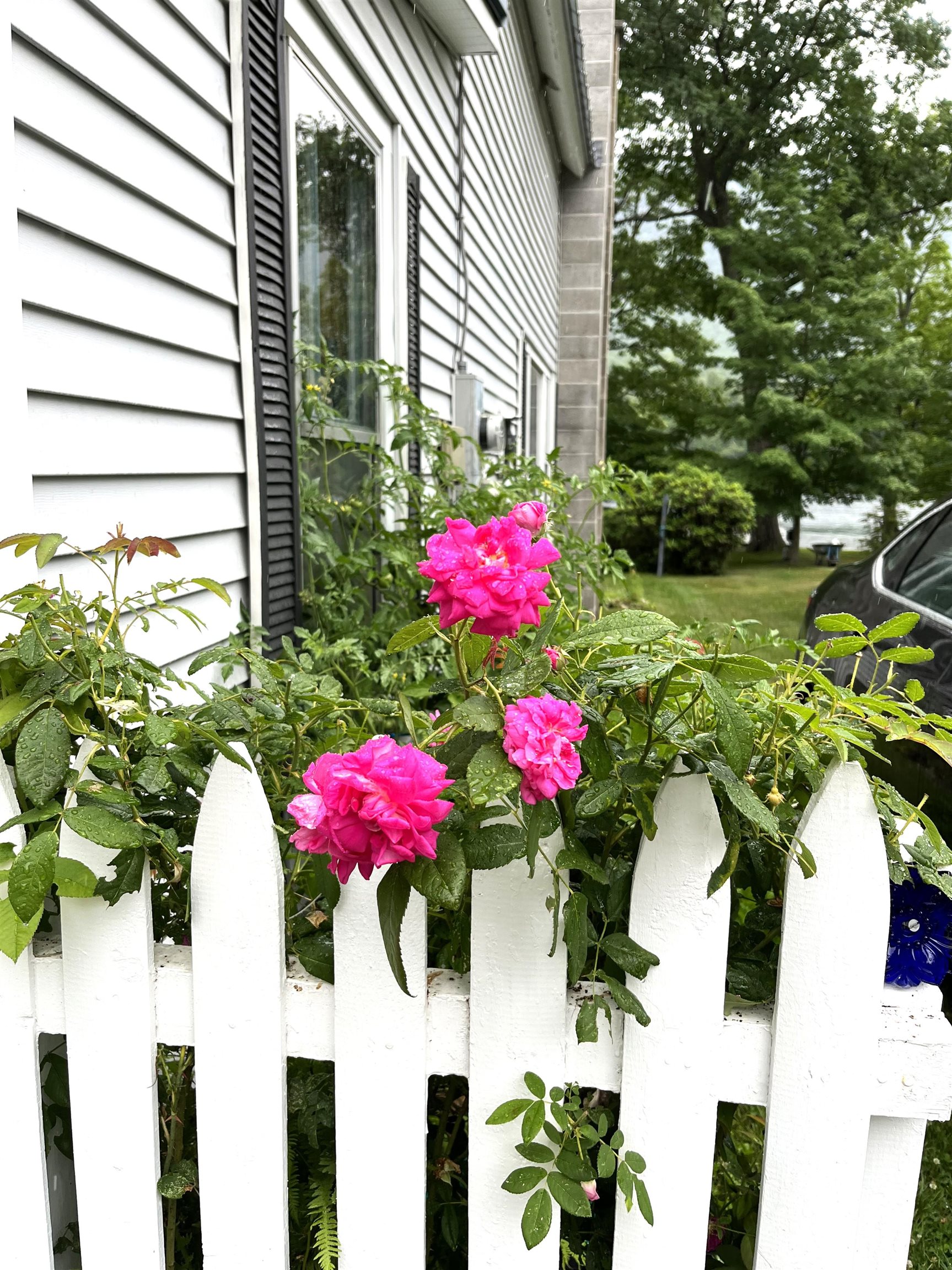 146 Pine Lane Property Photo 40
