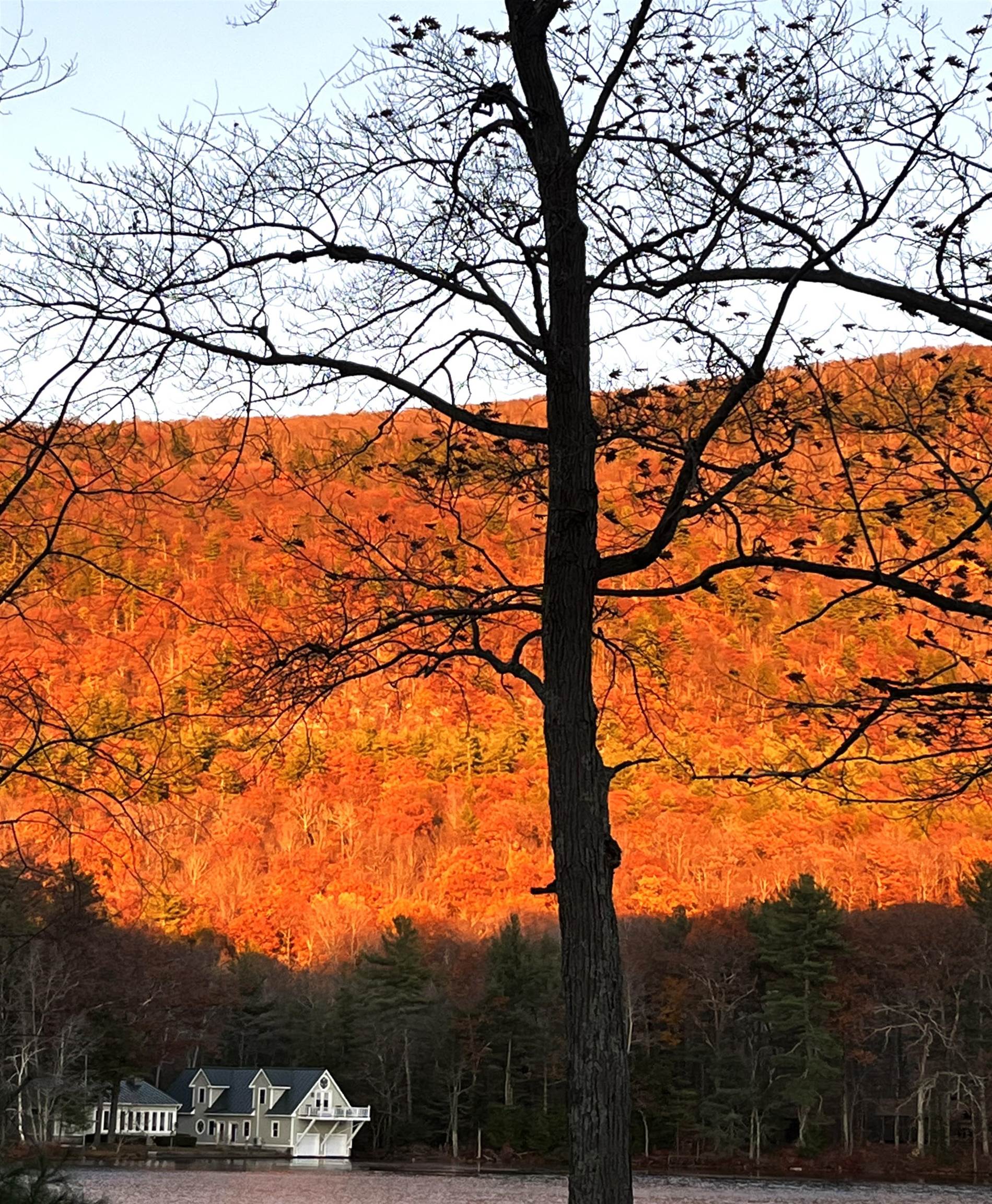 146 Pine Lane Property Photo 42
