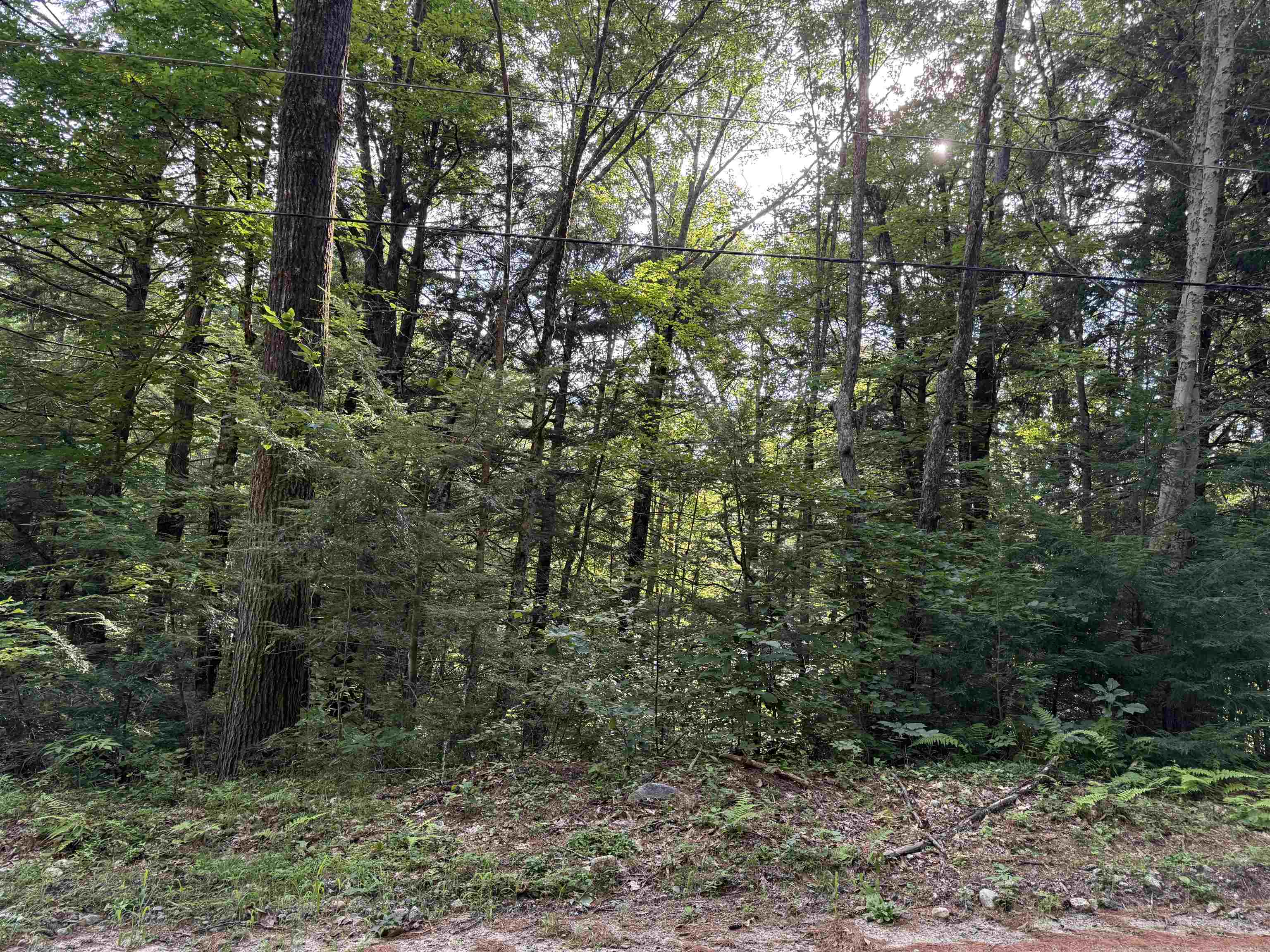 14-189 Seminole Road Property Photo 8