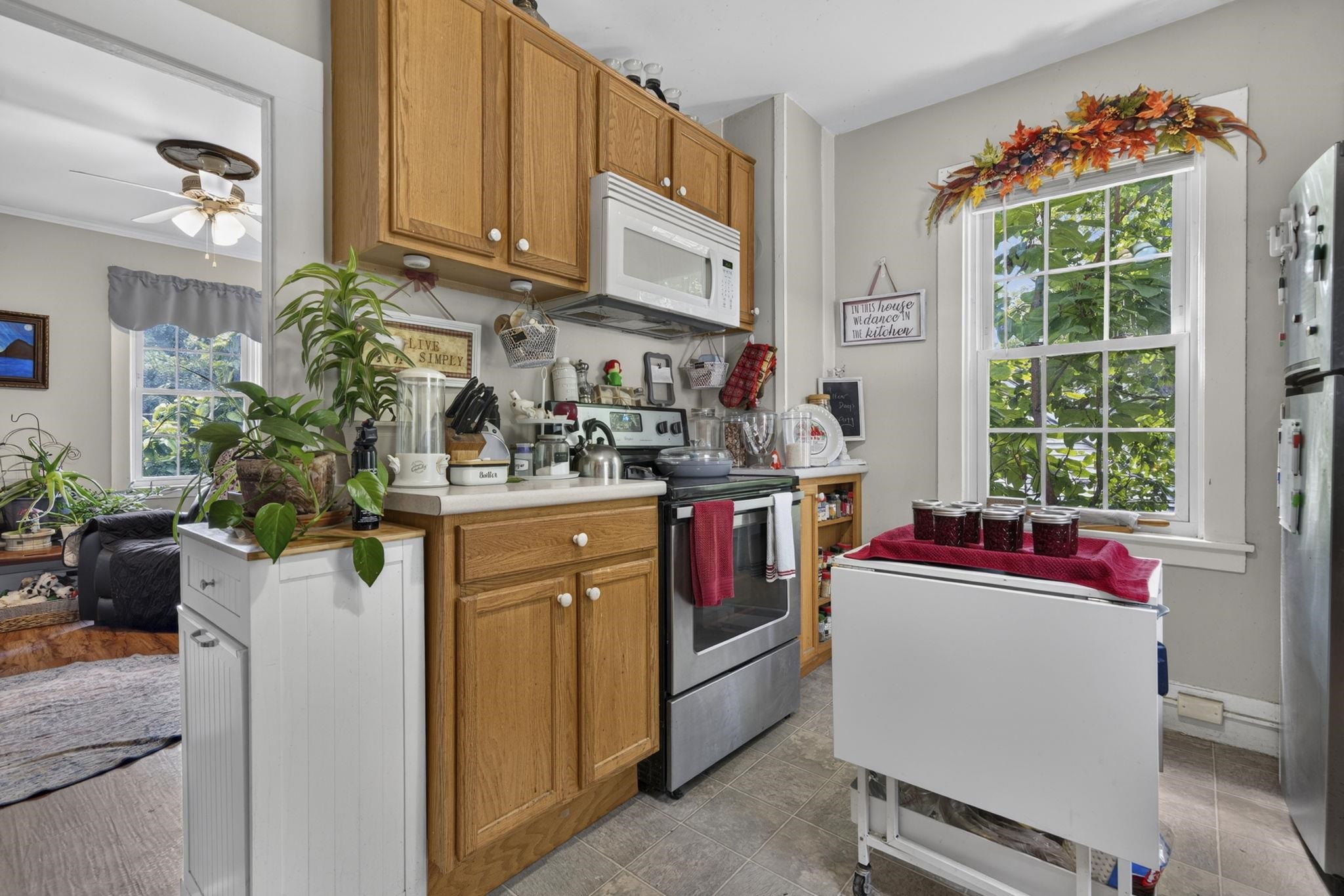 7 Island Street Property Photo 22