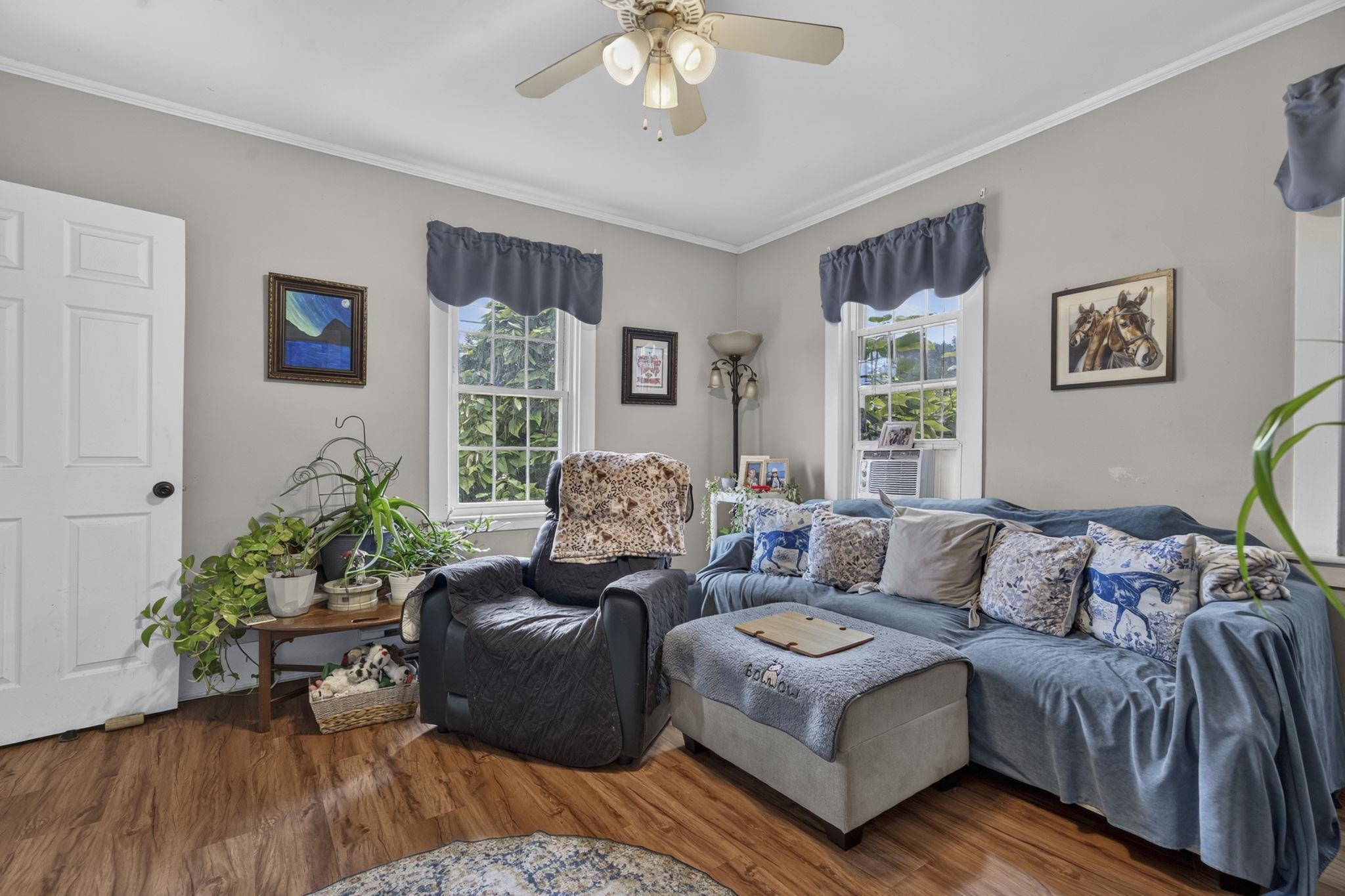 7 Island Street Property Photo 25